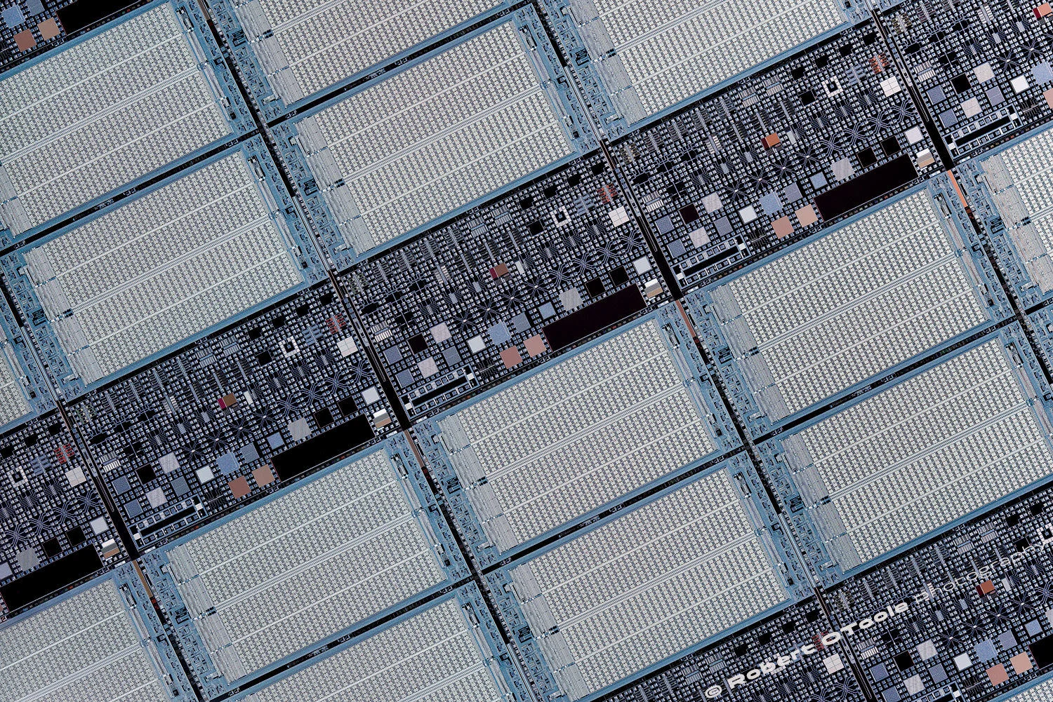 Silicon-wafer-life-size-one-Scanner-Nikkor-ED-Robert-OToole-2017-1500px.jpg