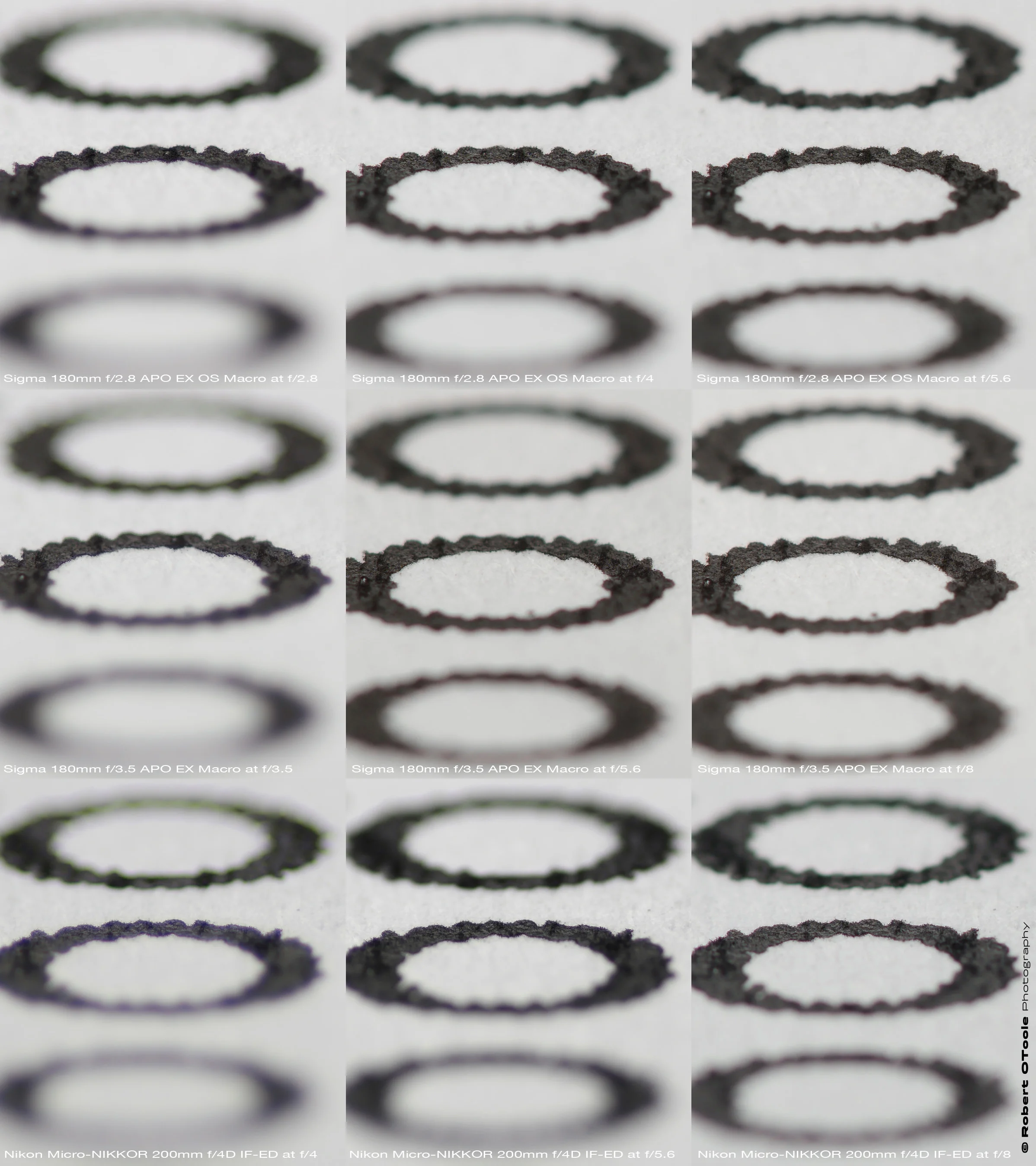 Sigma-180-OS-Sigma-180-Nikon-200-ED--LoCA-Test-Crop-Robert-OToole-Photography-2017.jpg