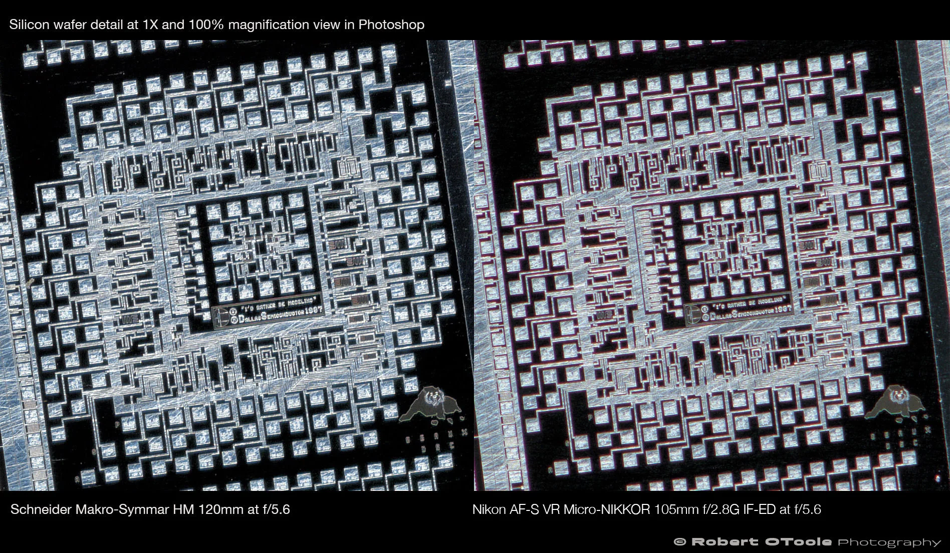Schneider-Macro-Symmar-HM-120mm-vs-Nikon-105VR-Macro-at-1X-center-crop-Robert-OToole-Photography.jpg