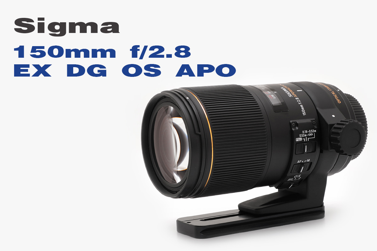 Sigma 150mm F 2 8 Ex Macro Lens Close Up Photography Sigma 150mm F 2 8 Ex Macro Lens Close Up Photography