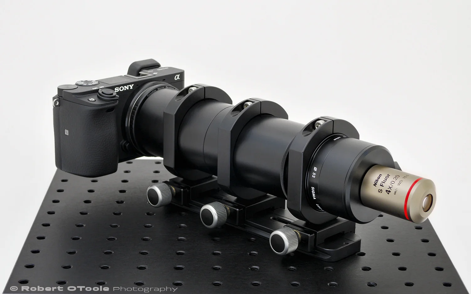 Nikon Super Fluor 4x objective mounted on my 52mm studio set-up with a Sony A6300 and Sigma 200mm tube lens.