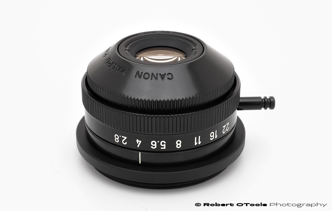 High-Magnification Macro Lenses at 4x — Close-up Photography