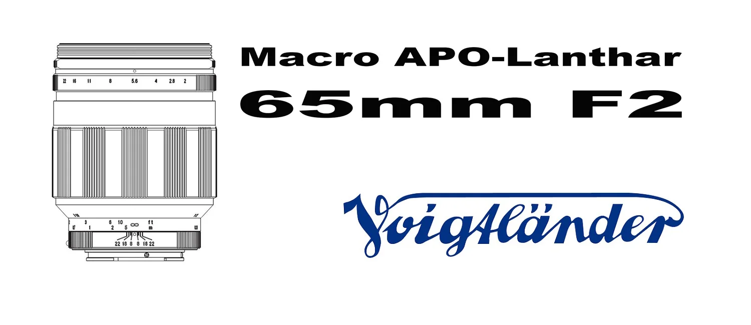 Apo Lanthar 65mm Close Up Photography Apo Lanthar 65mm Close Up Photography