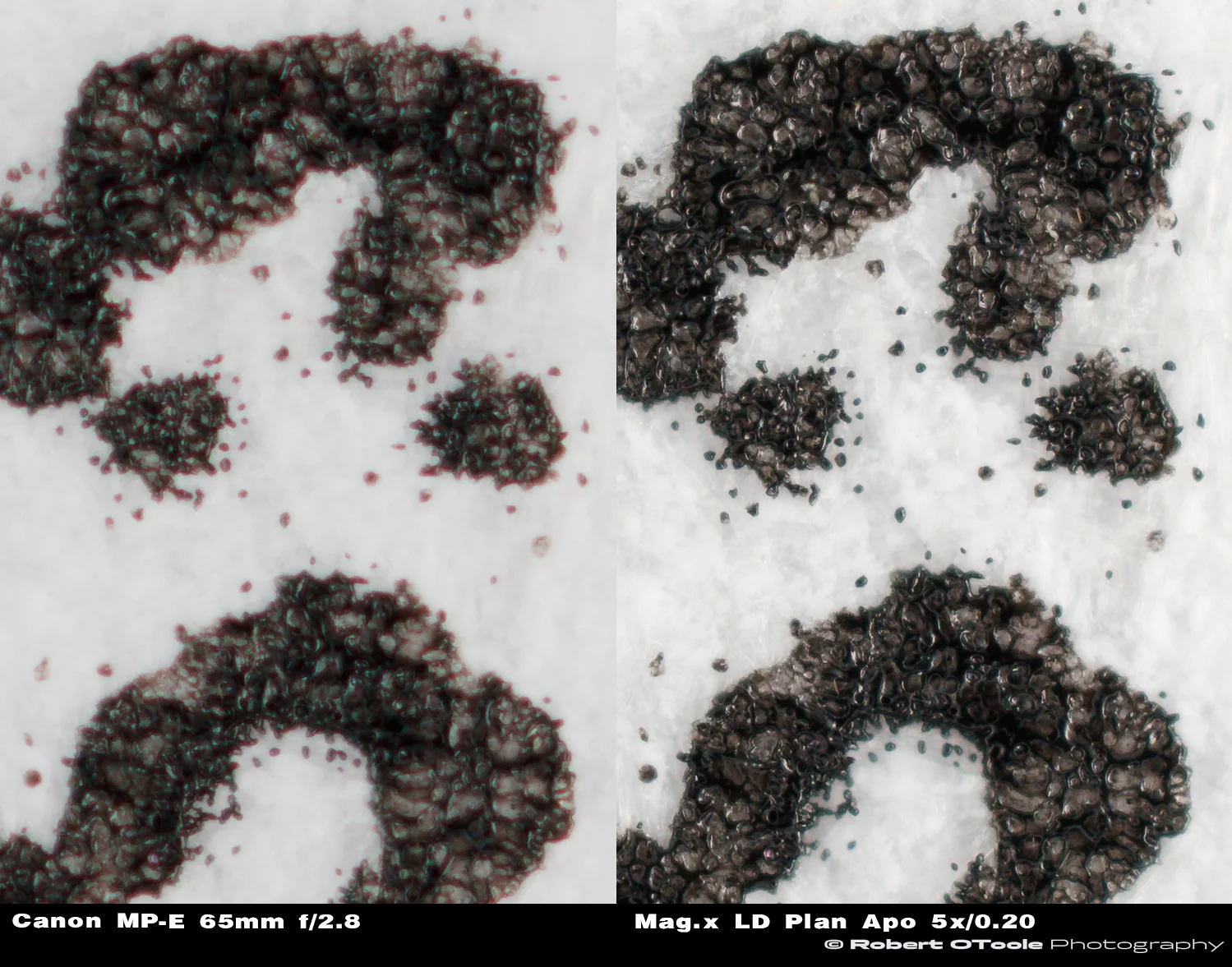 100% view chromatic aberration center crops, Canon MP-E 65mm f/2.8 Macro lens on the left and Mag.x LD Plan Apochromat 5x / 0.20 Objective on the right