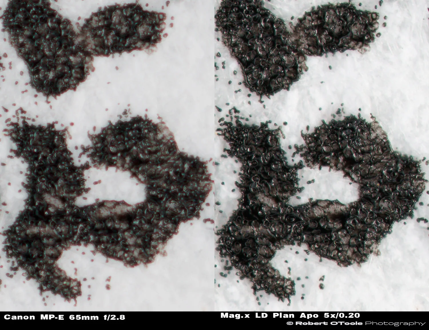 100% view chromatic aberration corner crops, Canon MP-E 65mm f/2.8 Macro lens on the left and Mag.x LD Plan Apochromat 5x / 0.20 Objective on the right