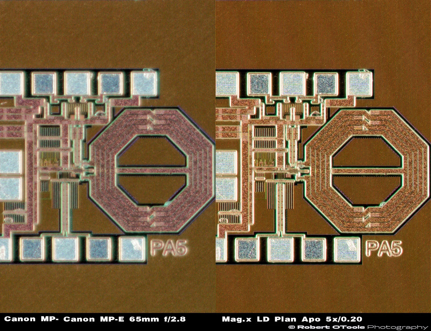 100% view corner crops, Canon MP-E 65mm f/2.8 Macro lens on the left and Mag.x LD Plan Apochromat 5x / 0.20 Objective on the right