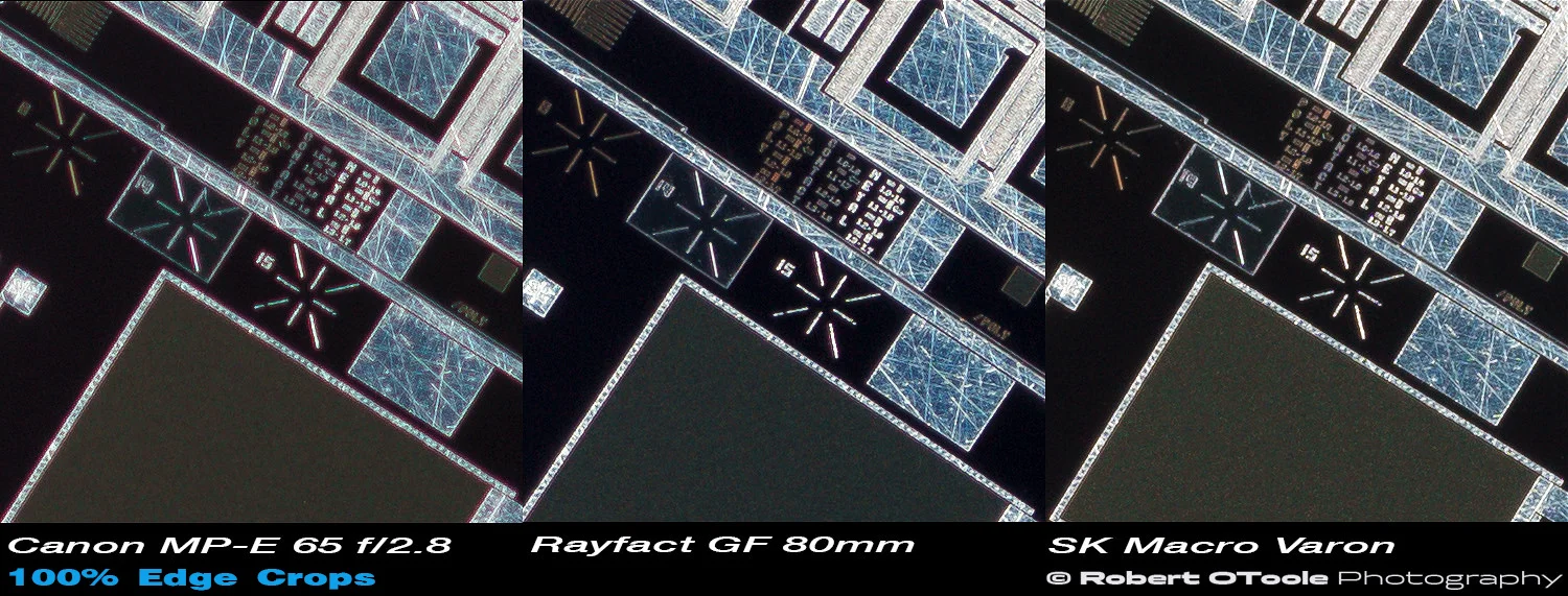 Canon-MPE-Rayfact-GF-Scheider-MV-2.1x-100-percent-edge-crops.jpg