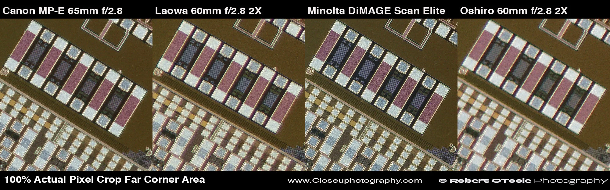 2x-test-100-percent-far-corner-crops-closeuphotography.com-Robert-OToole-Photography.jpg