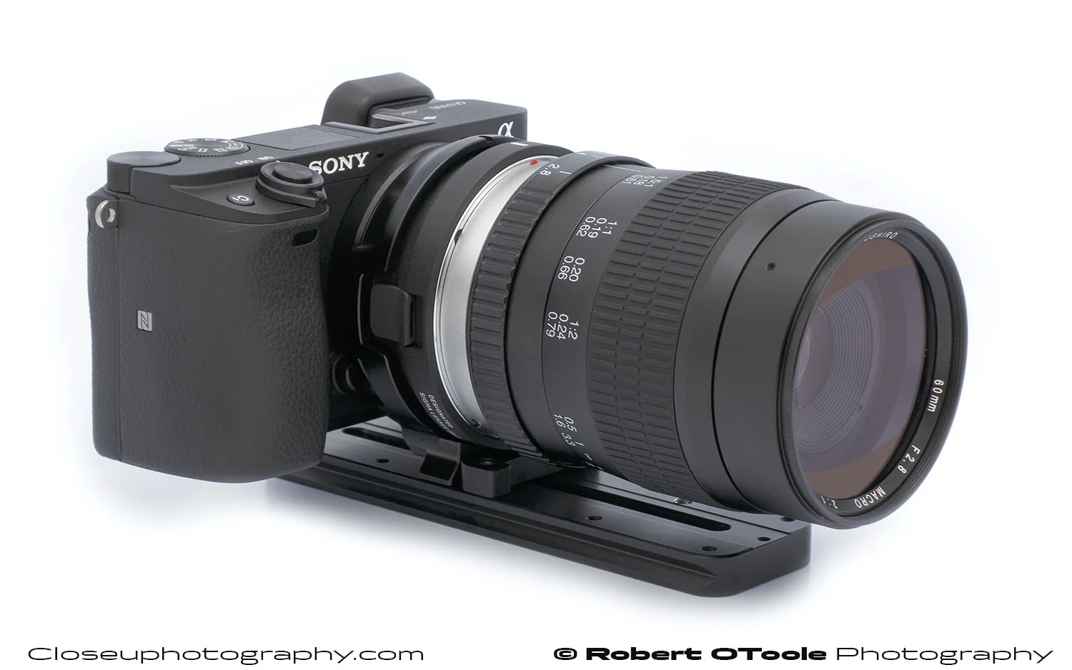 Sony A6300 with a Sigma MC-11 EOS to E-mount adapter, with a Small Rig MC-11 tripod adapter