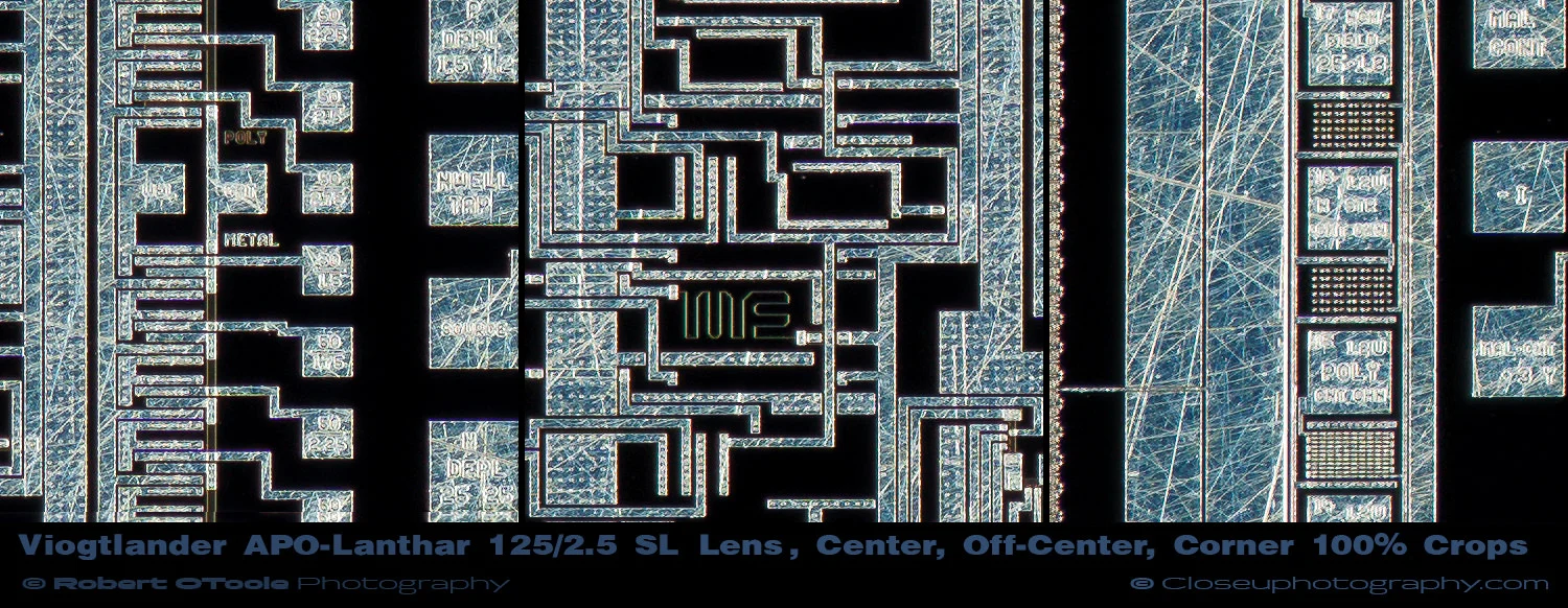 VOIGTLANDER-APO-LANTHAR-125MM-F2.5-LENS-100-percent-crops-Closeuphotography.jpg