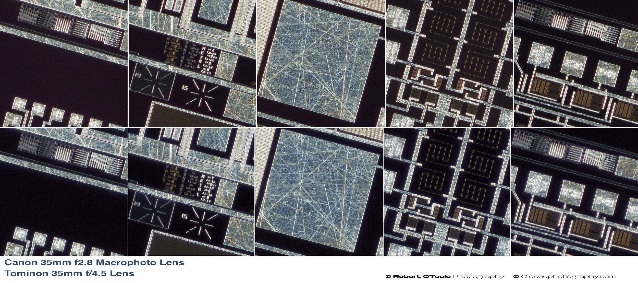 Canon-35MM-F2.8-Macrophoto-Lens-vs-Tominon-35mm-f4.5-Lens-100-percent-crops.jpg