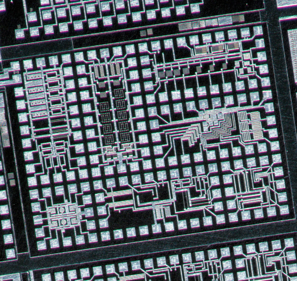Sigma 180mm F2.8 EX DG OS APO Macro Test Review — Close-up Sigma 180mm F2.8 EX DG OS APO Macro Test Review — Close-up