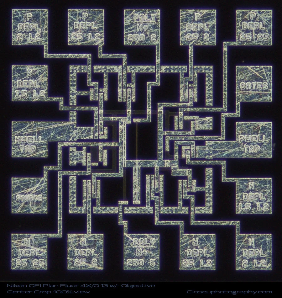 Nikon CFI Plan Fluor 4X/0.13 ∞/- Objective 100% View Center Crop at 4x