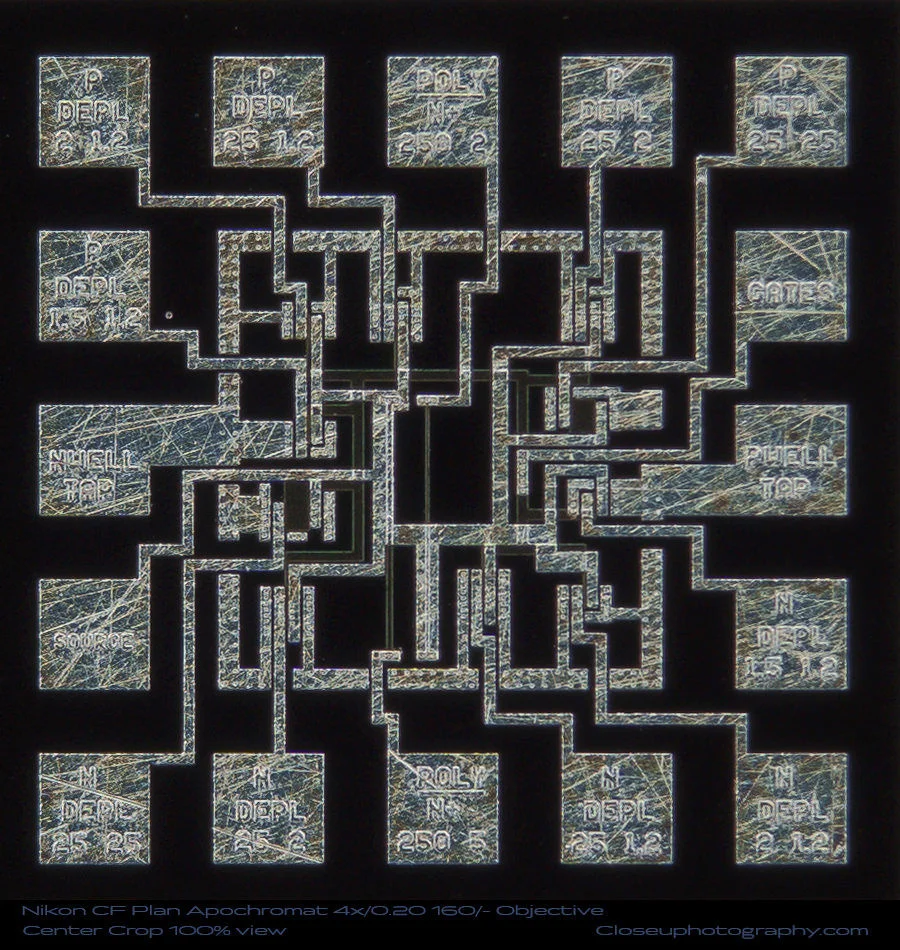 Nikon CF Plan Apochromat 4x/0.20 160/- Finite Objective 100% View Center Crop at 4x