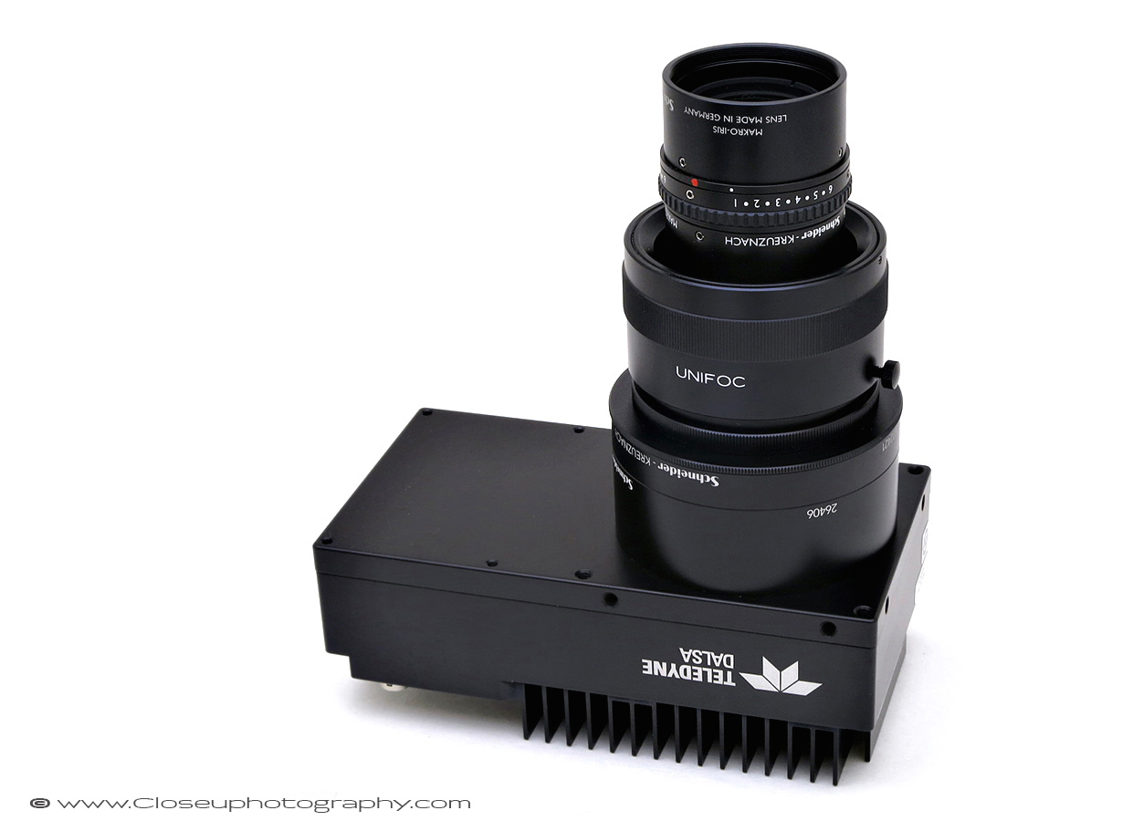 Schneider Makro-Symmar-MSR120 — Close-up Photography Schneider Makro-Symmar-MSR120 — Close-up Photography