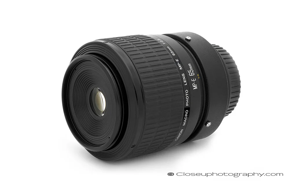 Canon-MPE-65-Macro-lens-Robert-OToole-Photography.jpg