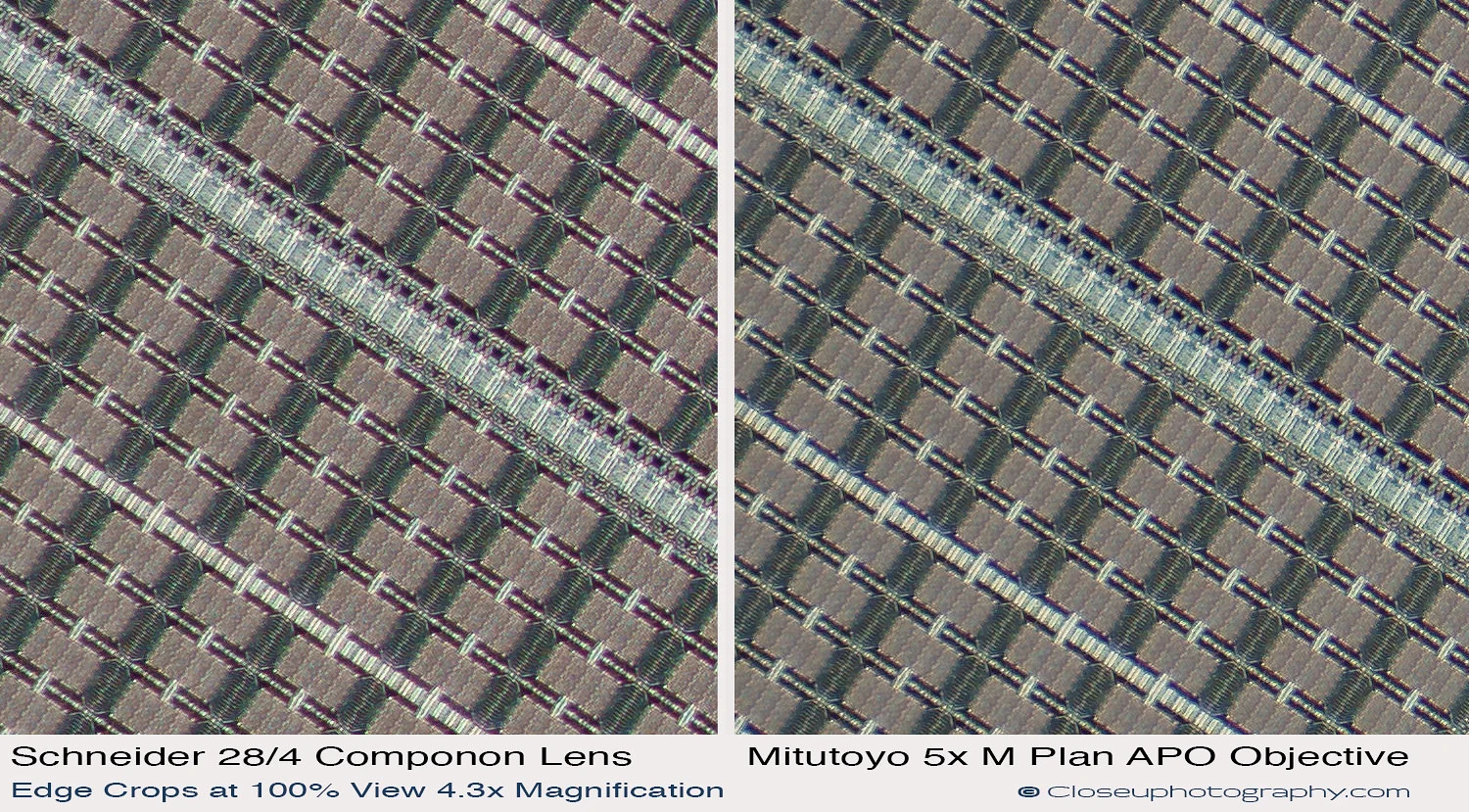 Edge-crops-Schneider-Makro-symmar-120-and-SK-Componon-28-4-at-4.3x-vs-Mitutoyo-5x-Plan-APO-closeuphotography.com.jpg