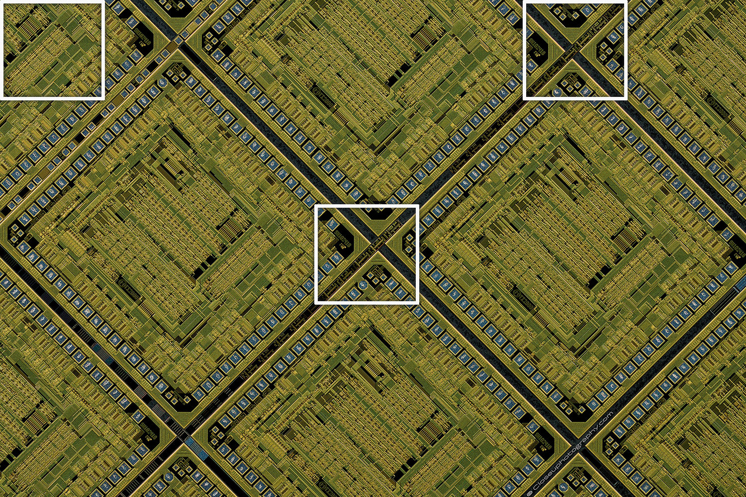Crop-areas-outlined-Componon-35mm-f2.8-Line-Scan-Lens-two-views-at-3.2x-www-Closeuphotography-com.jpg