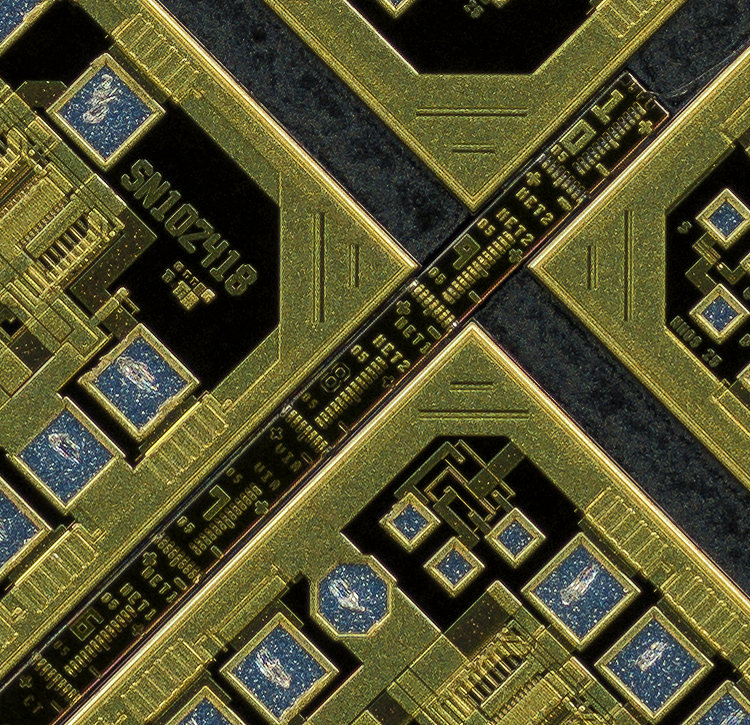 Center-crop-at-100-percent-Componon-35mm-f2.8-Line-Scan-Lens-two-views-at-3.2x-www-Closeuphotography-com.jpg