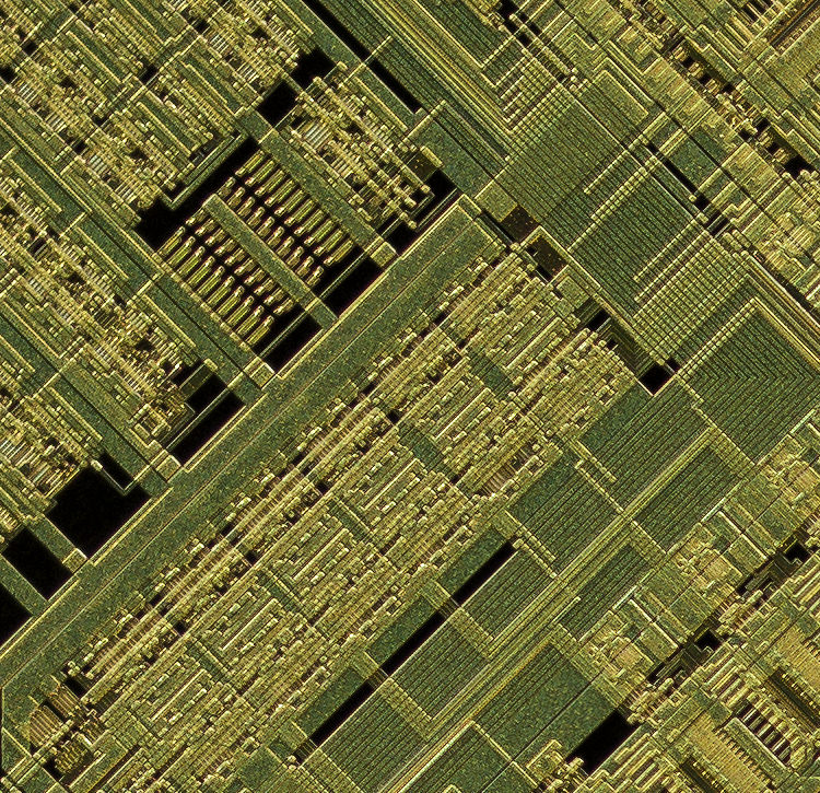 Corner-crop-at-100-percent-Componon-35mm-f2.8-Line-Scan-Lens-two-views-at-3.2x-www-Closeuphotography-com.jpg