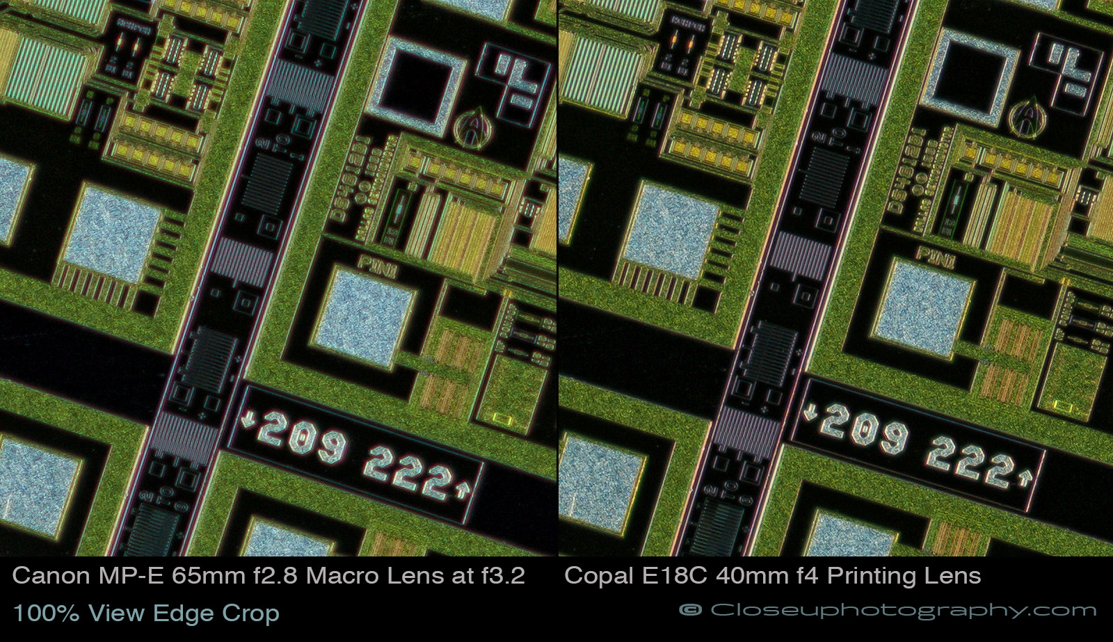 100-percent-view-edge-crop-Canon-MPE-65-vs-Copal-E18C-40mm-at-3.4x-www-Closeuphotography-com.jpg