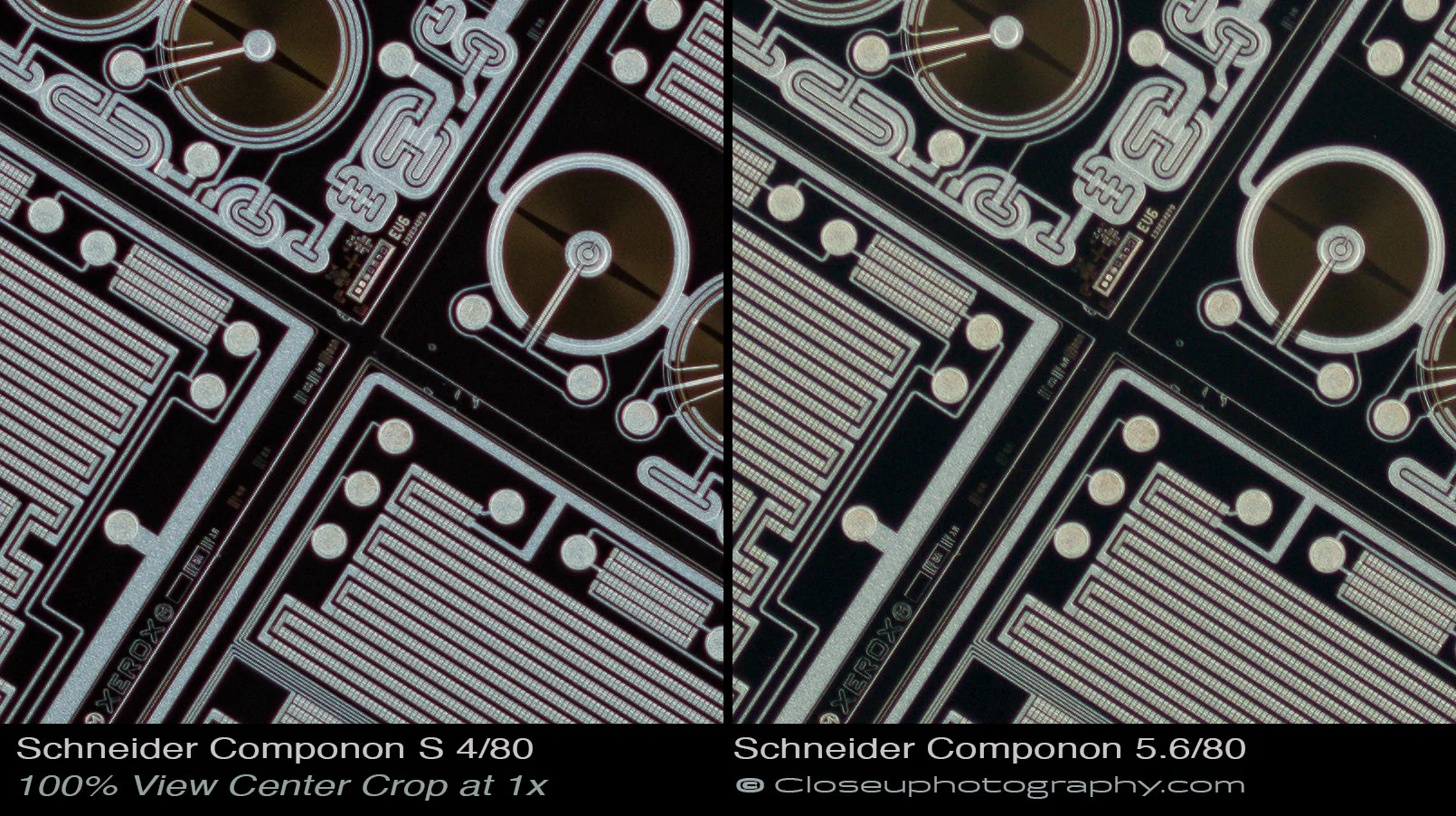 Center-100-percent-crops-Schneider-Componon-S-80mm-f4-Lens-vs-Schneider-Componon-80mm-f5.6-Lens-www-closeuphotography-com.jpg