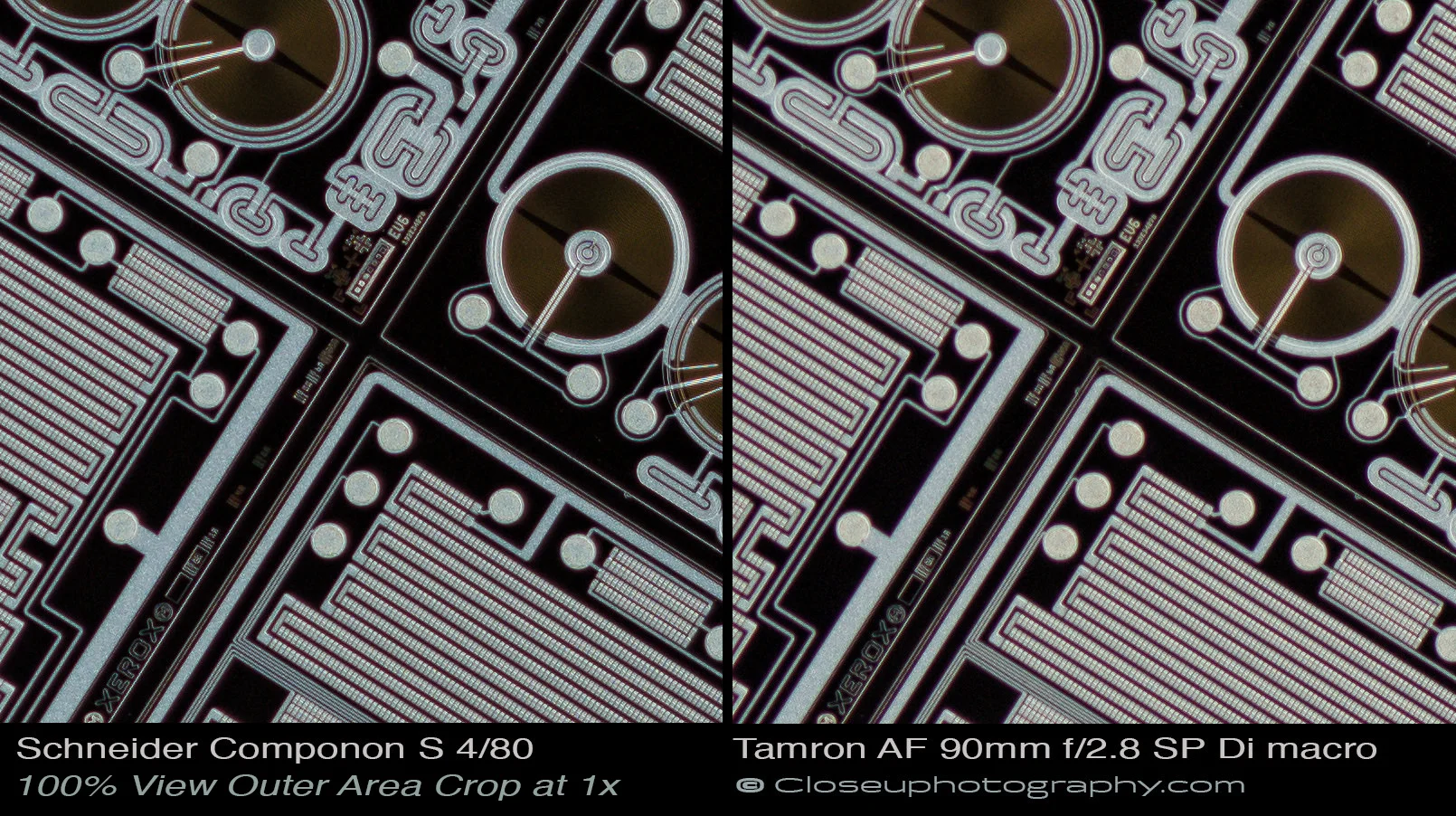 Outer-area-100-percent-crops-Schneider-Componon-S-80mm-f4-Lens-vs-Tamron-AF-90mm-f:2.8-SP-Di-macro-lens-www-closeuphotography-com.jpg