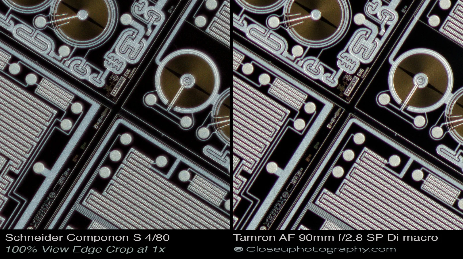 1x Low-Cost Shootout — Close-up Photography