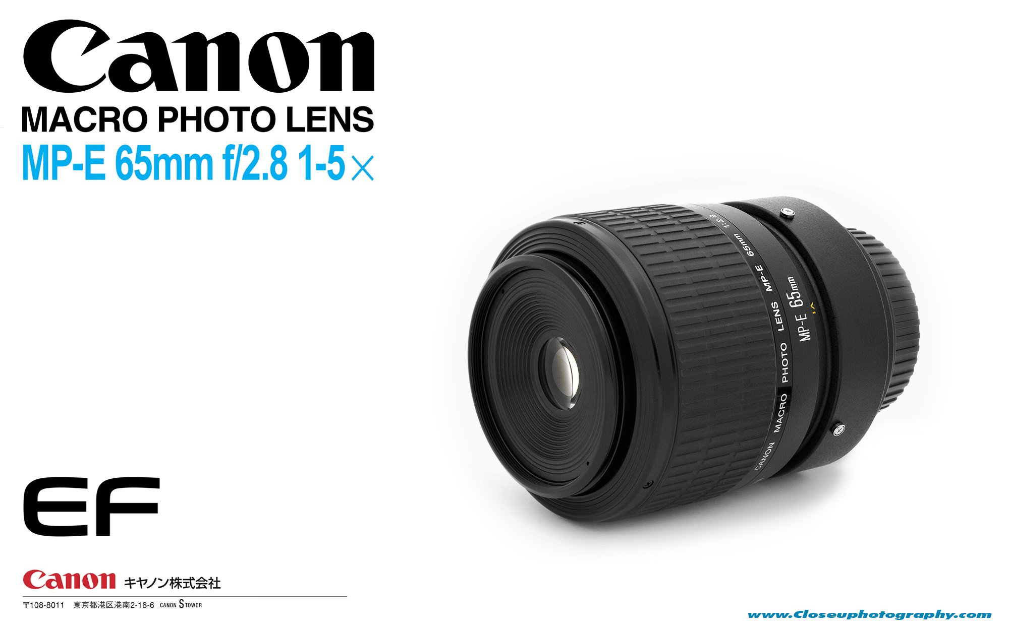 Canon-MP-E-65mm-F2.8-1-5×-Macro-Photo-Lens-www-Closeuphotography-com.jpg