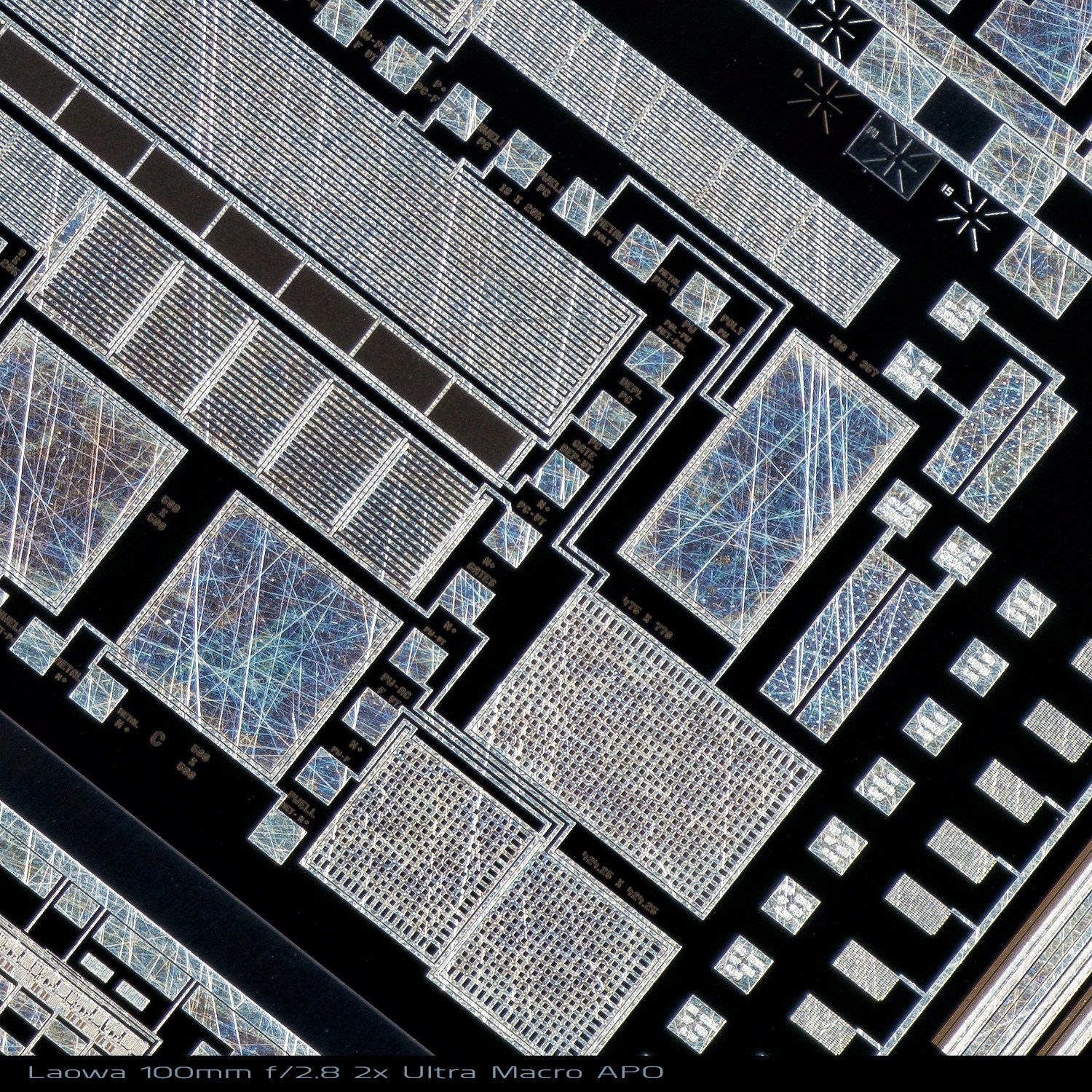 Laowa 100/2.8 2x Ultra Macro APO