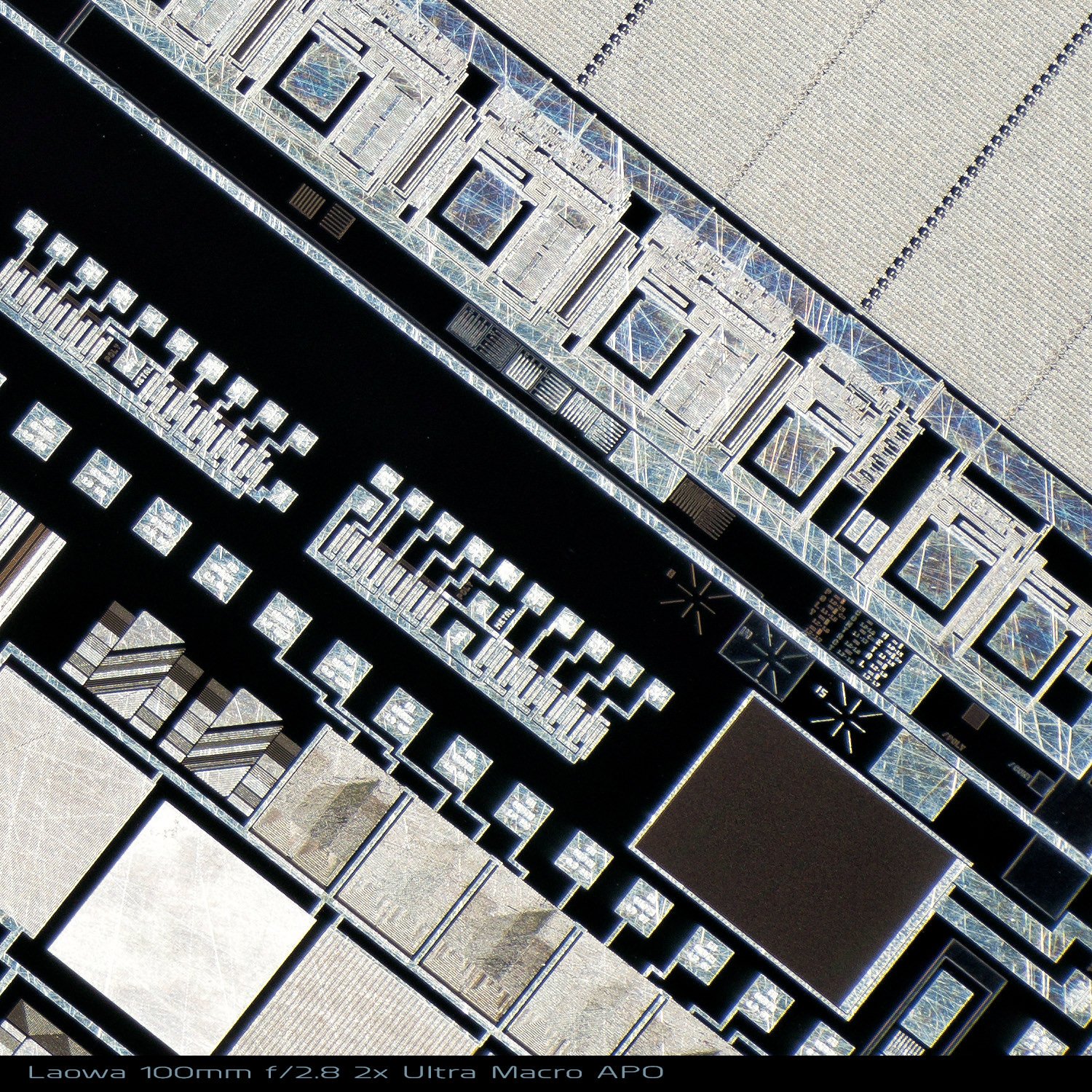 Laowa 100/2.8 2x Ultra Macro APO