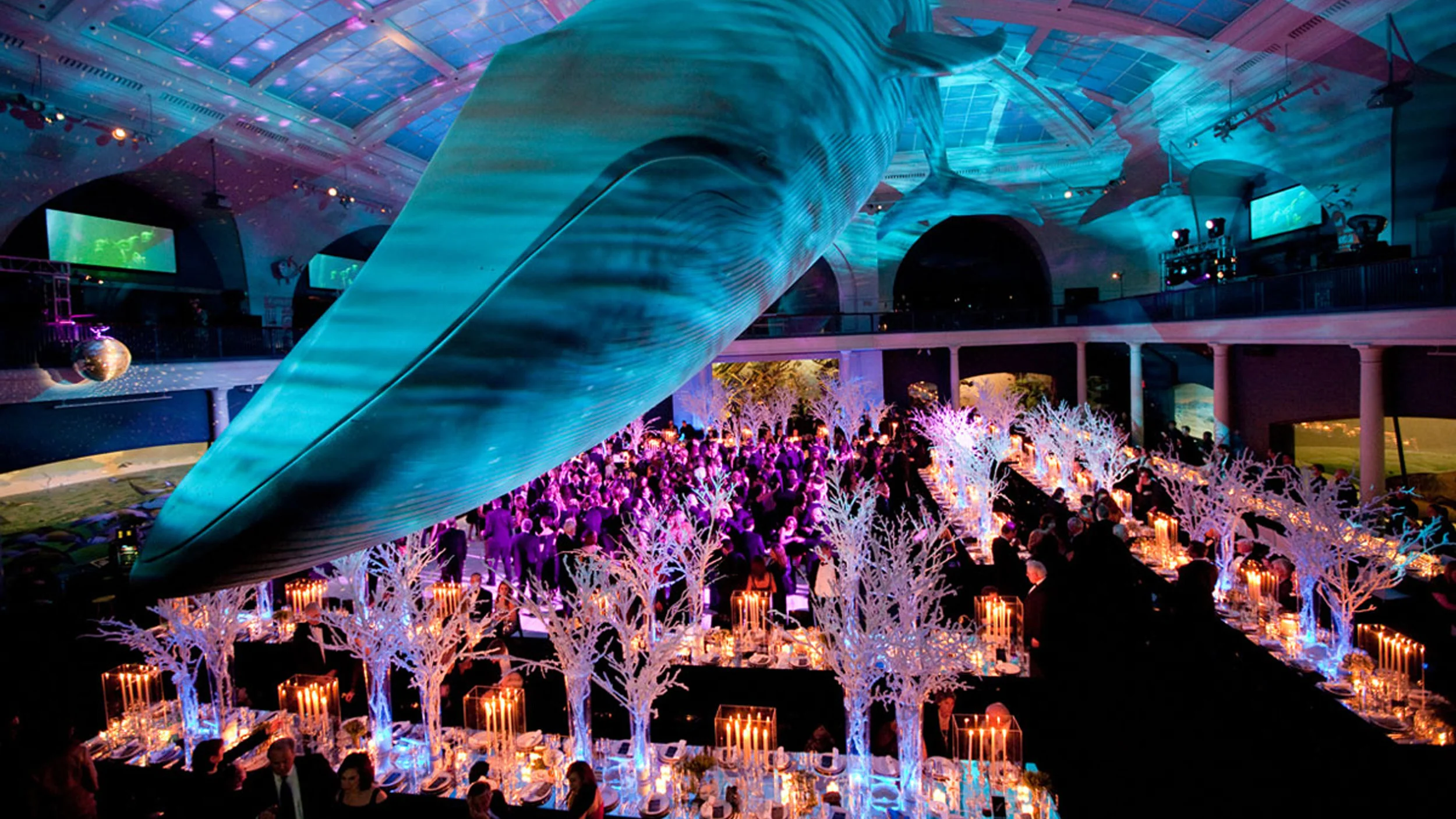 Reception_01.jpg