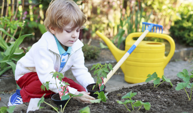 iStock_000042446018_Large-752x440.jpg