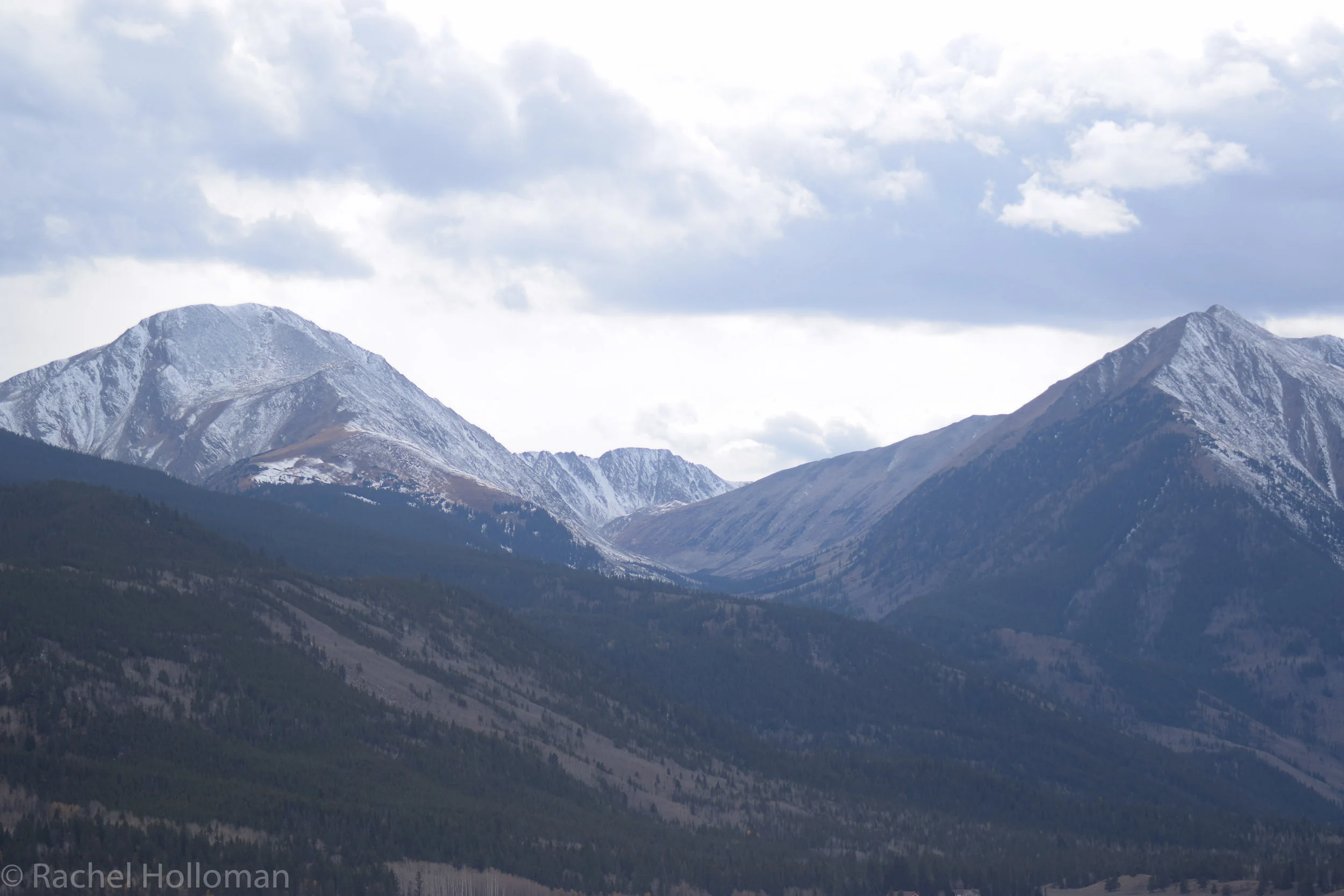 DSC_0507.jpg