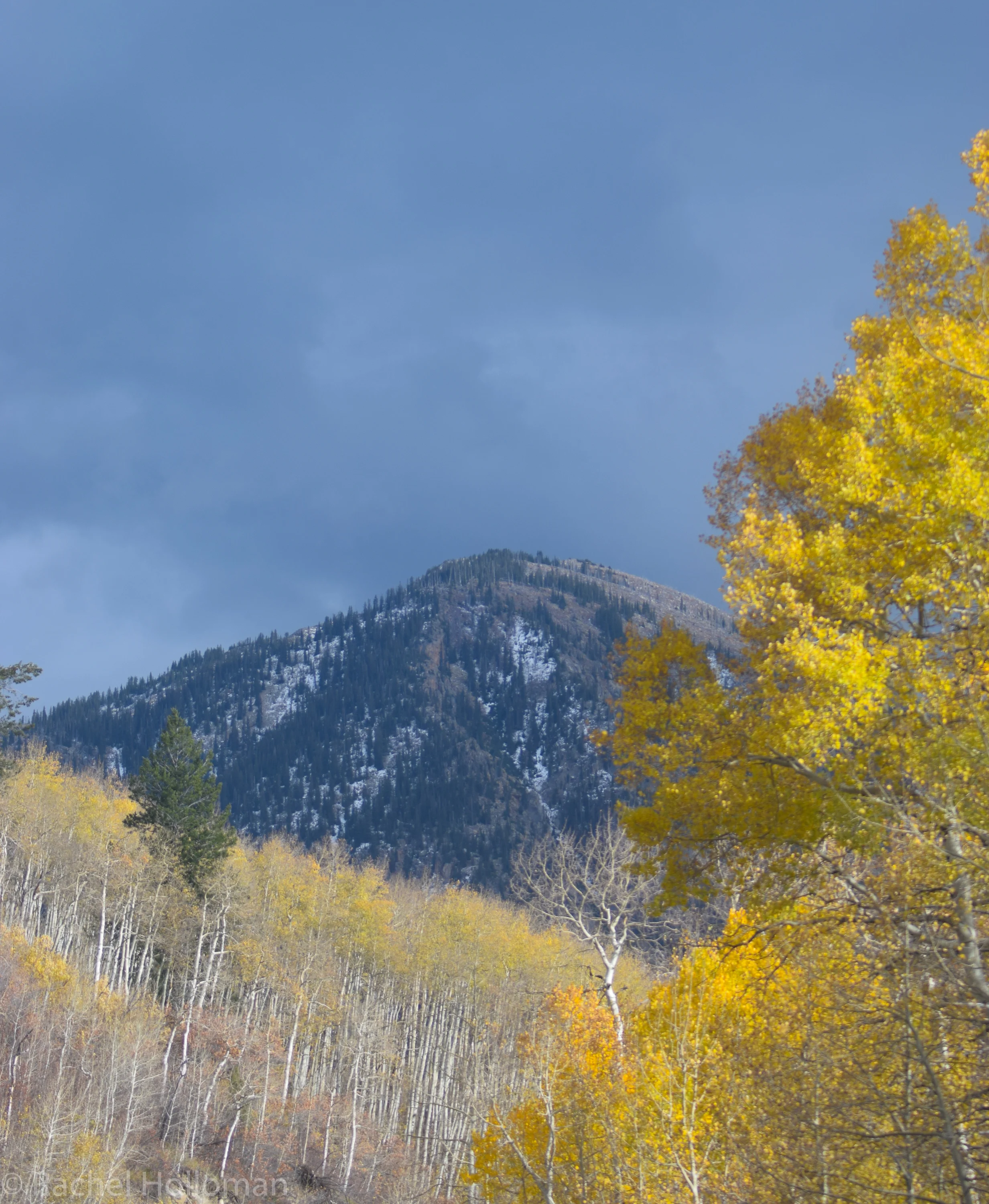 DSC_0544.jpg
