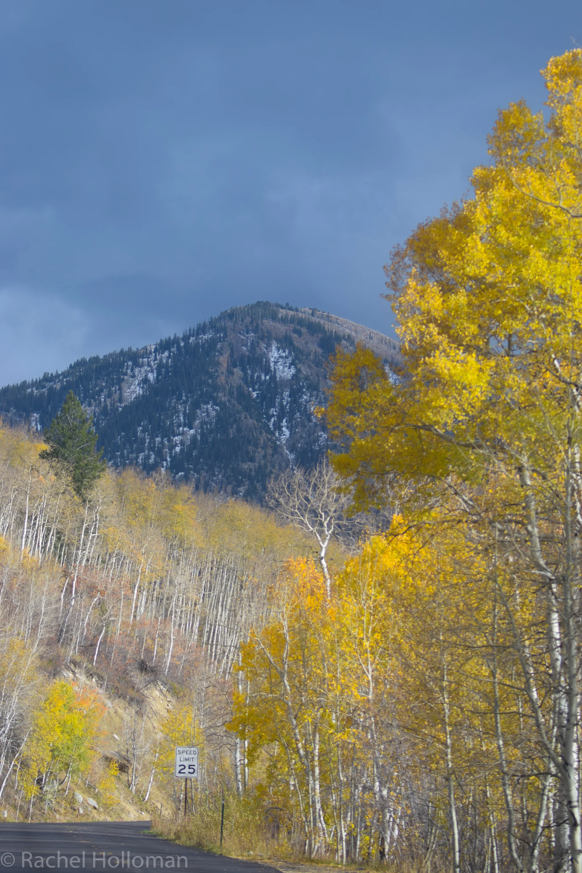 DSC_0545.jpg