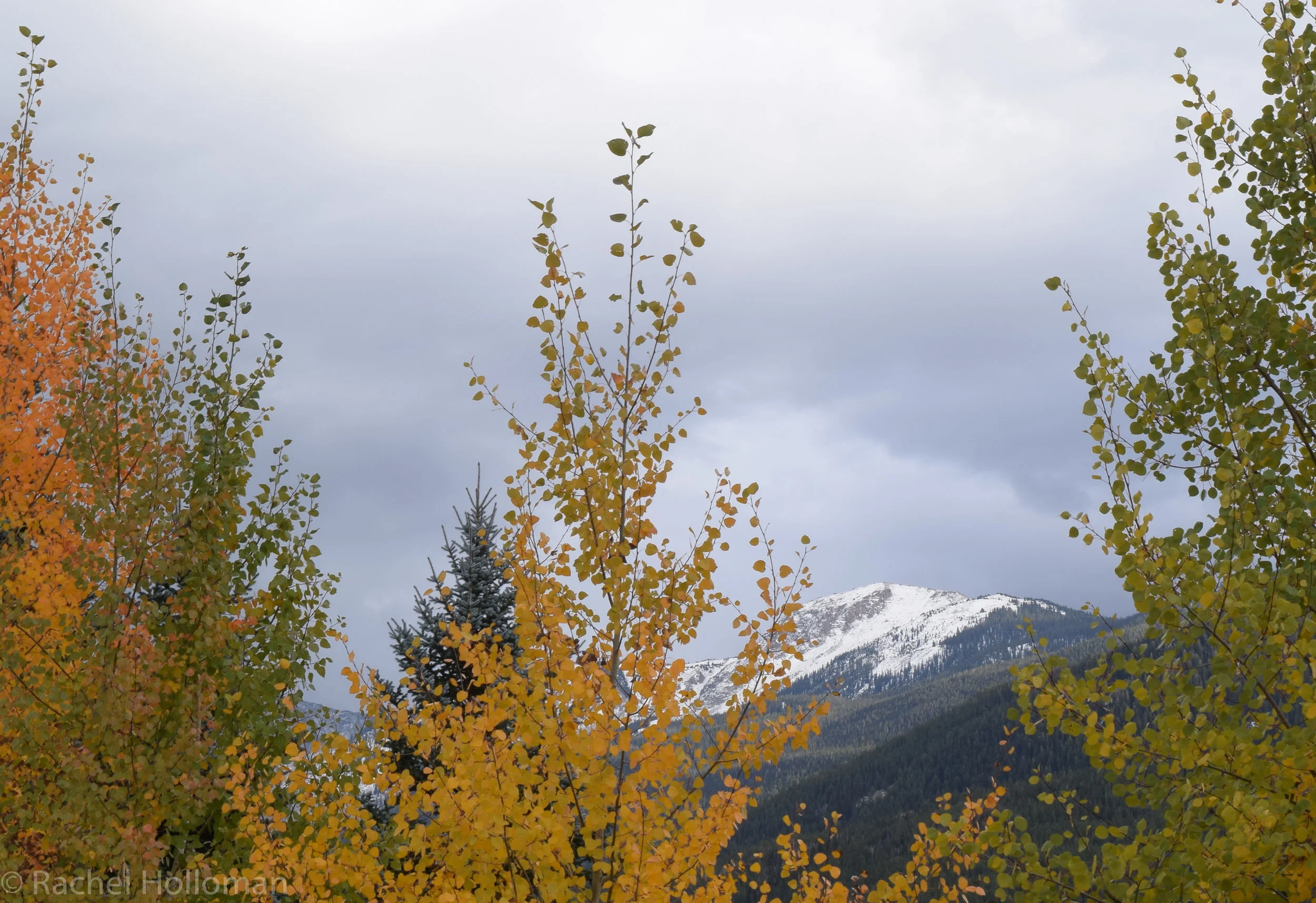 DSC_0567.jpg