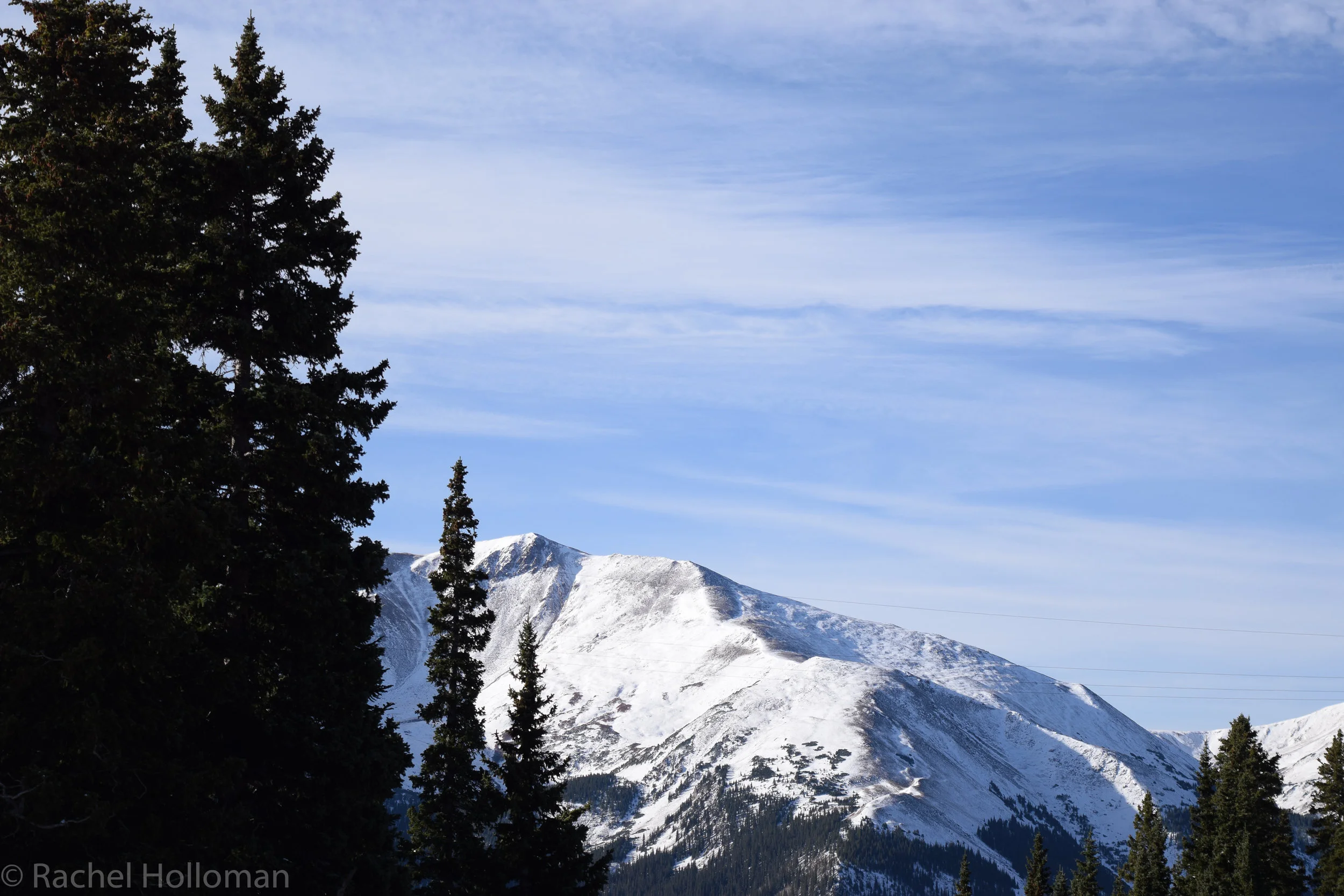 DSC_0950.jpg
