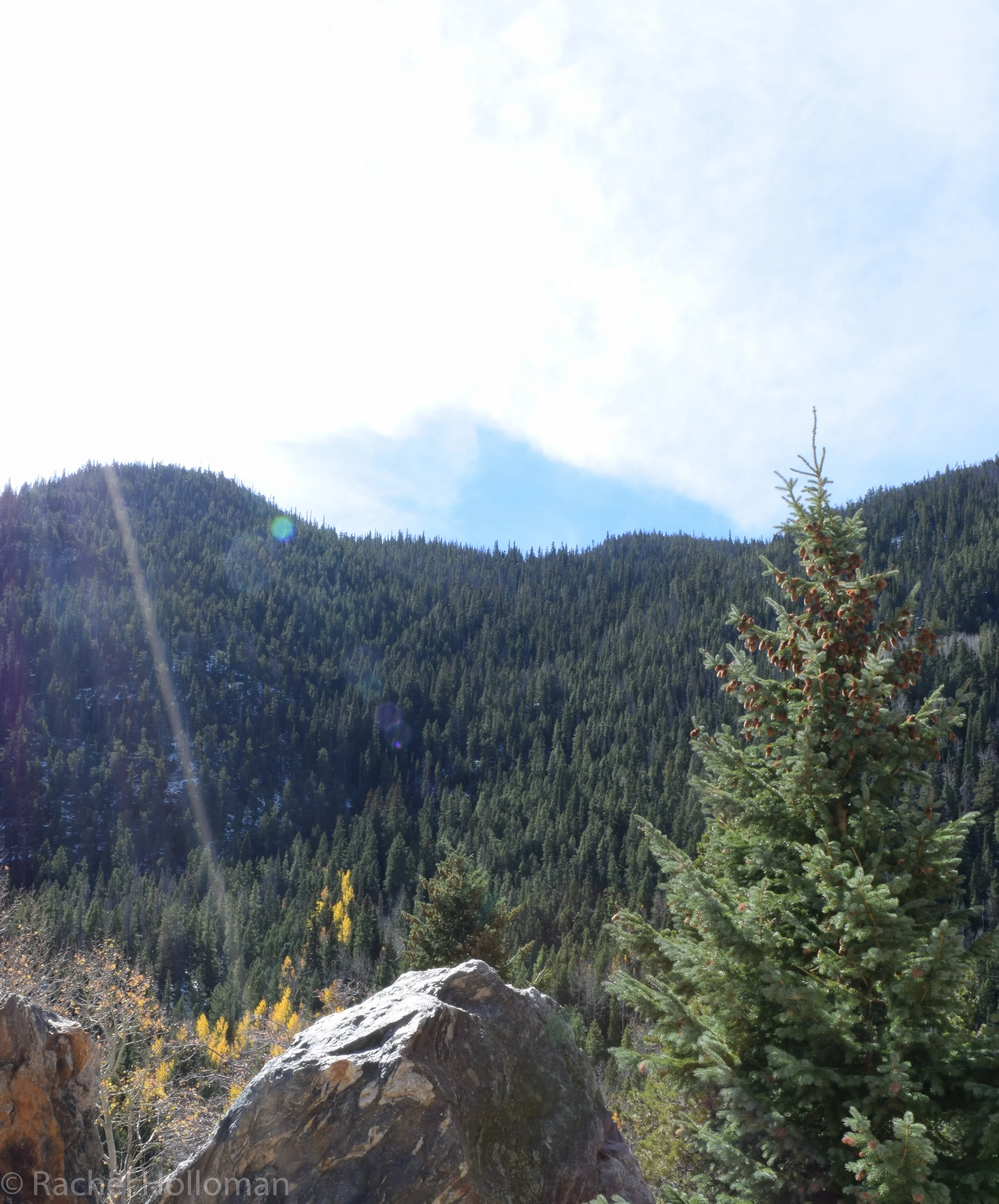 DSC_1061.jpg