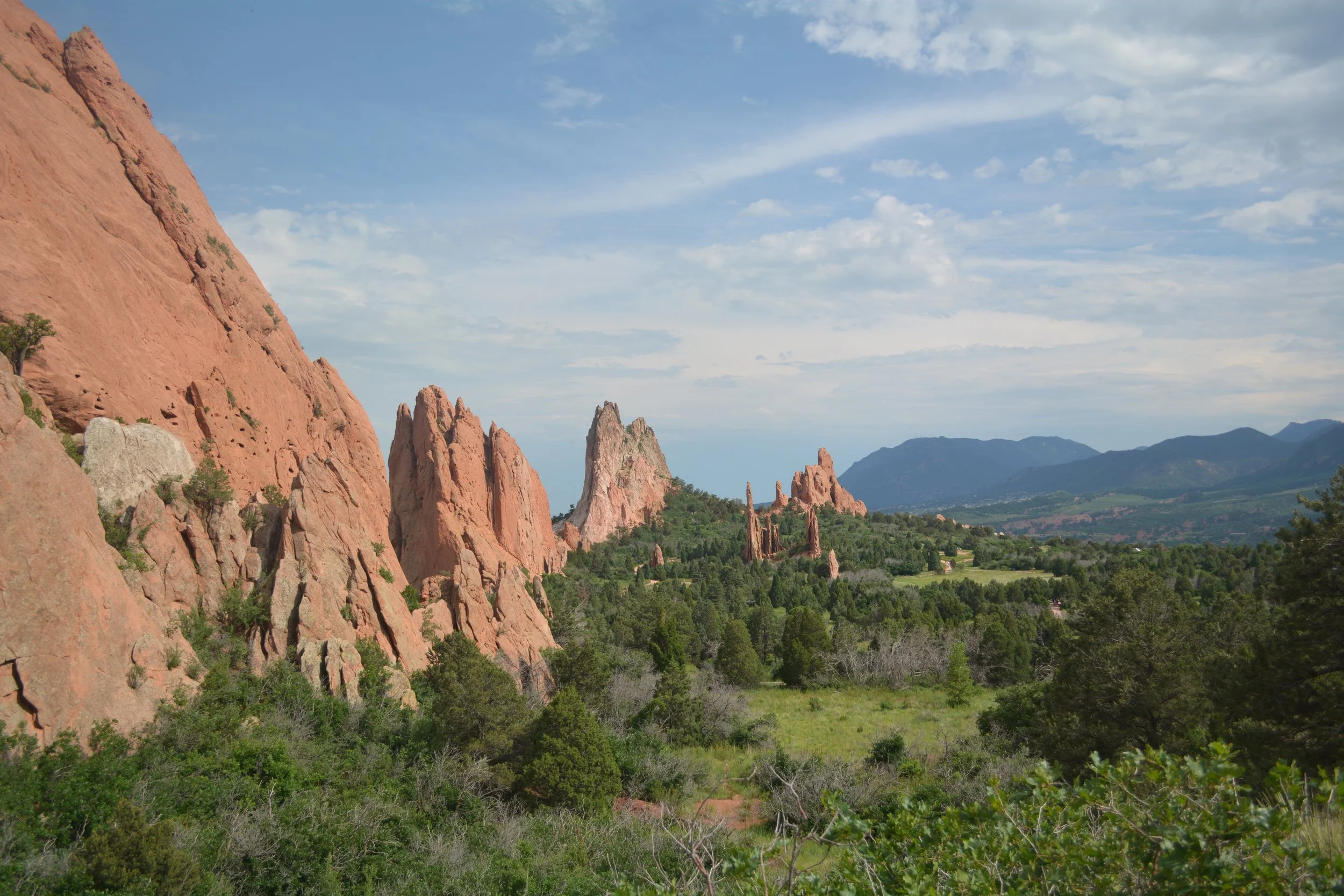 DSC_0234.jpg
