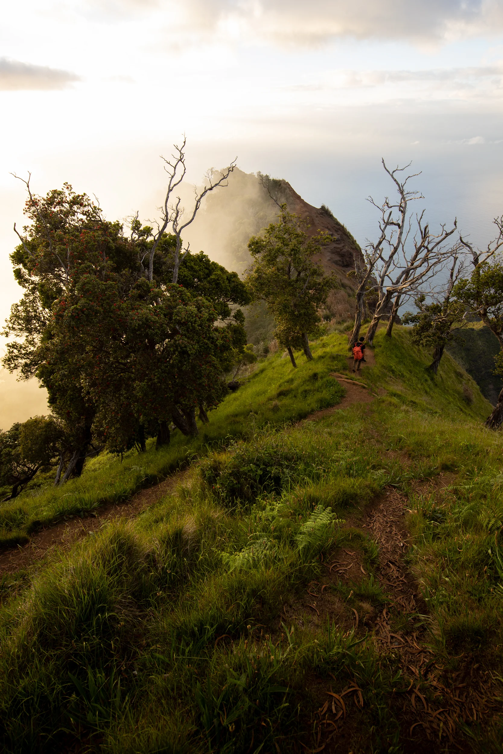 The Ridge