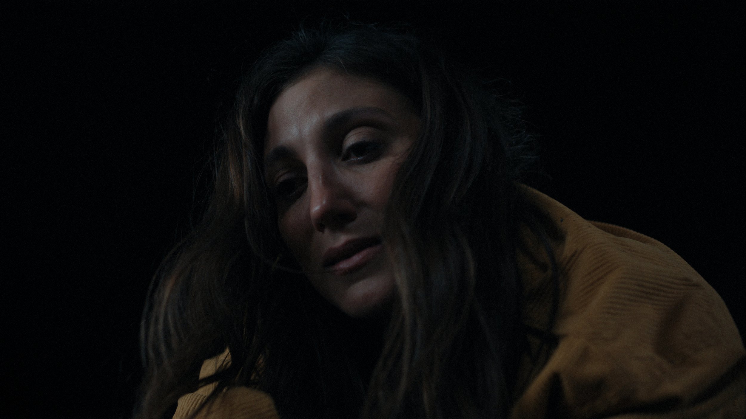 Secret Life of the Surgeon's Wife - Still
