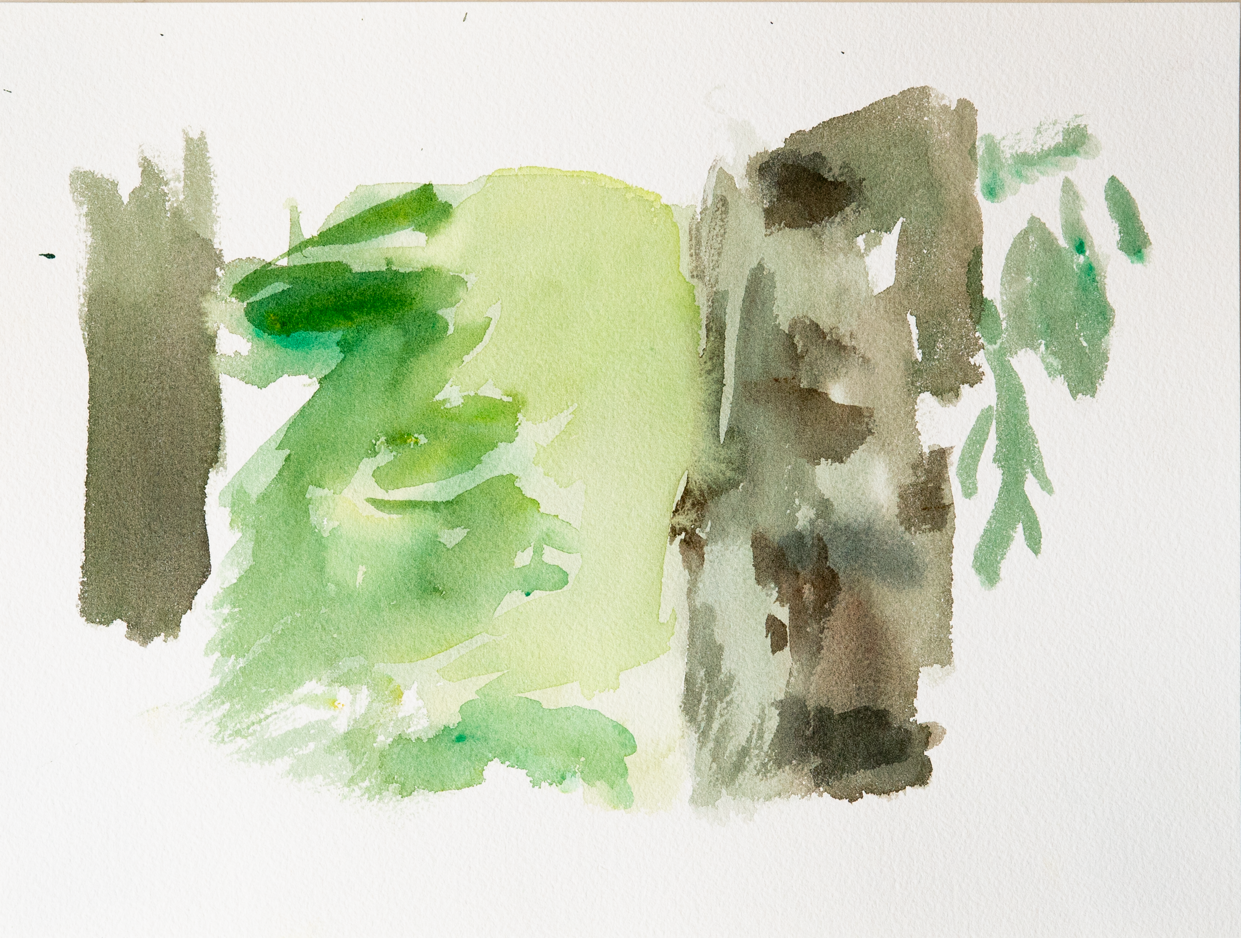 Untitled 19_(Summer 2023)_12by9.PNG