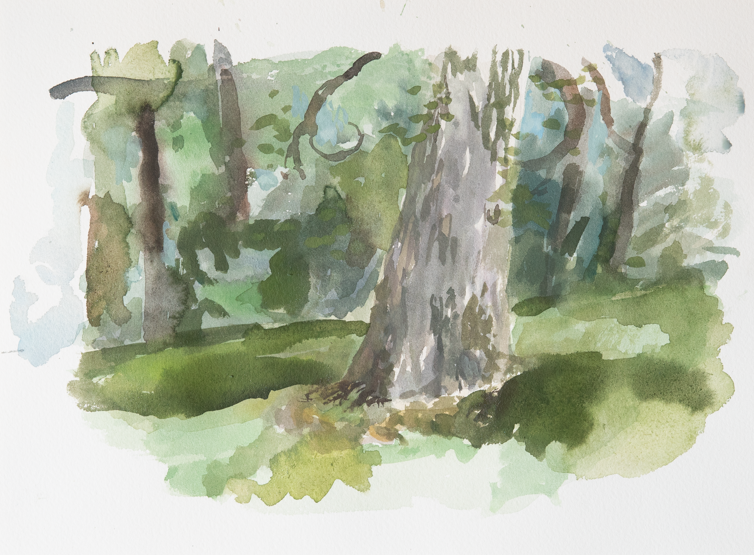 Untitled 1_(Summer 2023)_9by12.png