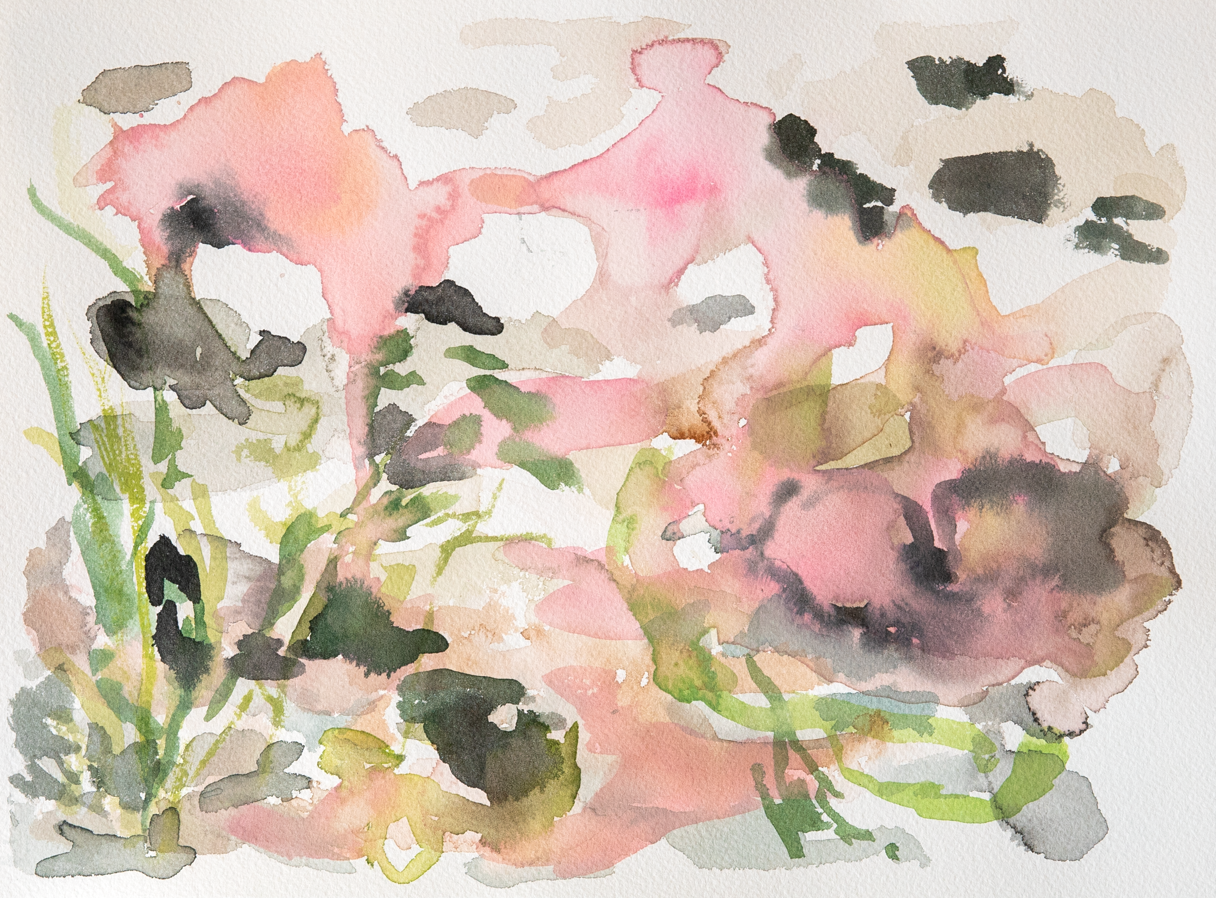Untitled 3_(Summer 2023)_9by12.png