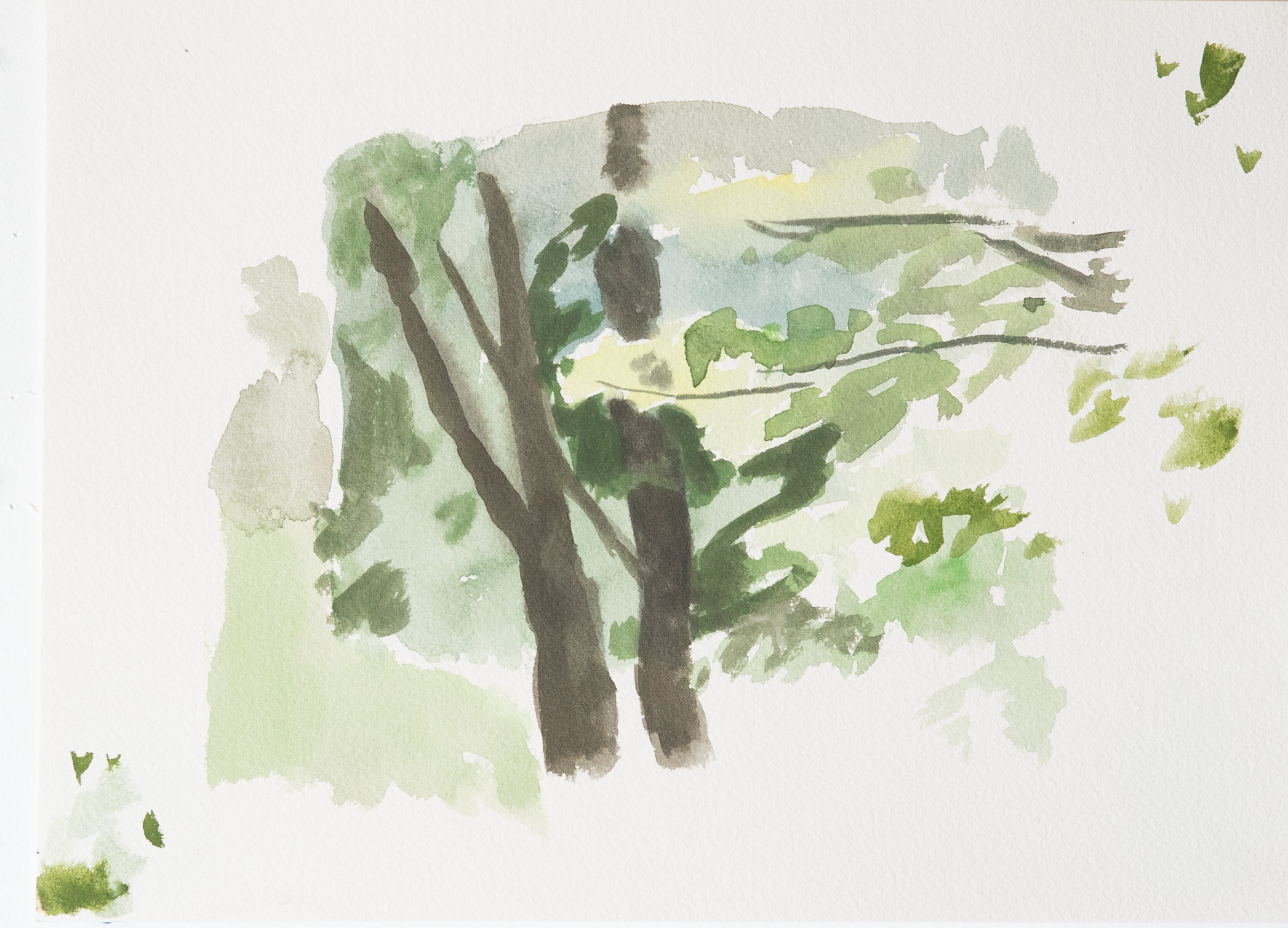 Untitled 21_(Summer 2023)_12by9.PNG