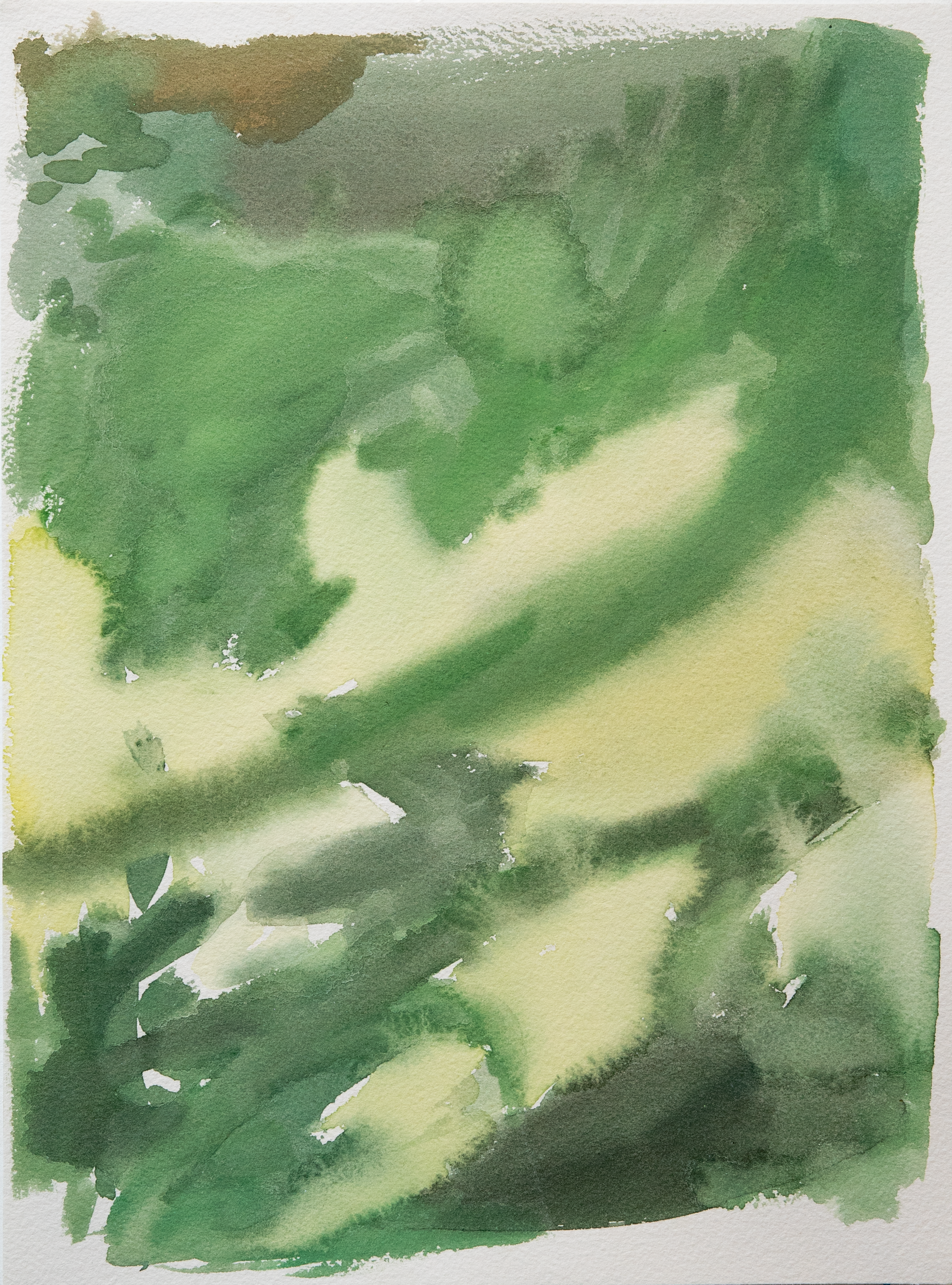 Untitled 37_(Summer 2023)_12by9.PNG