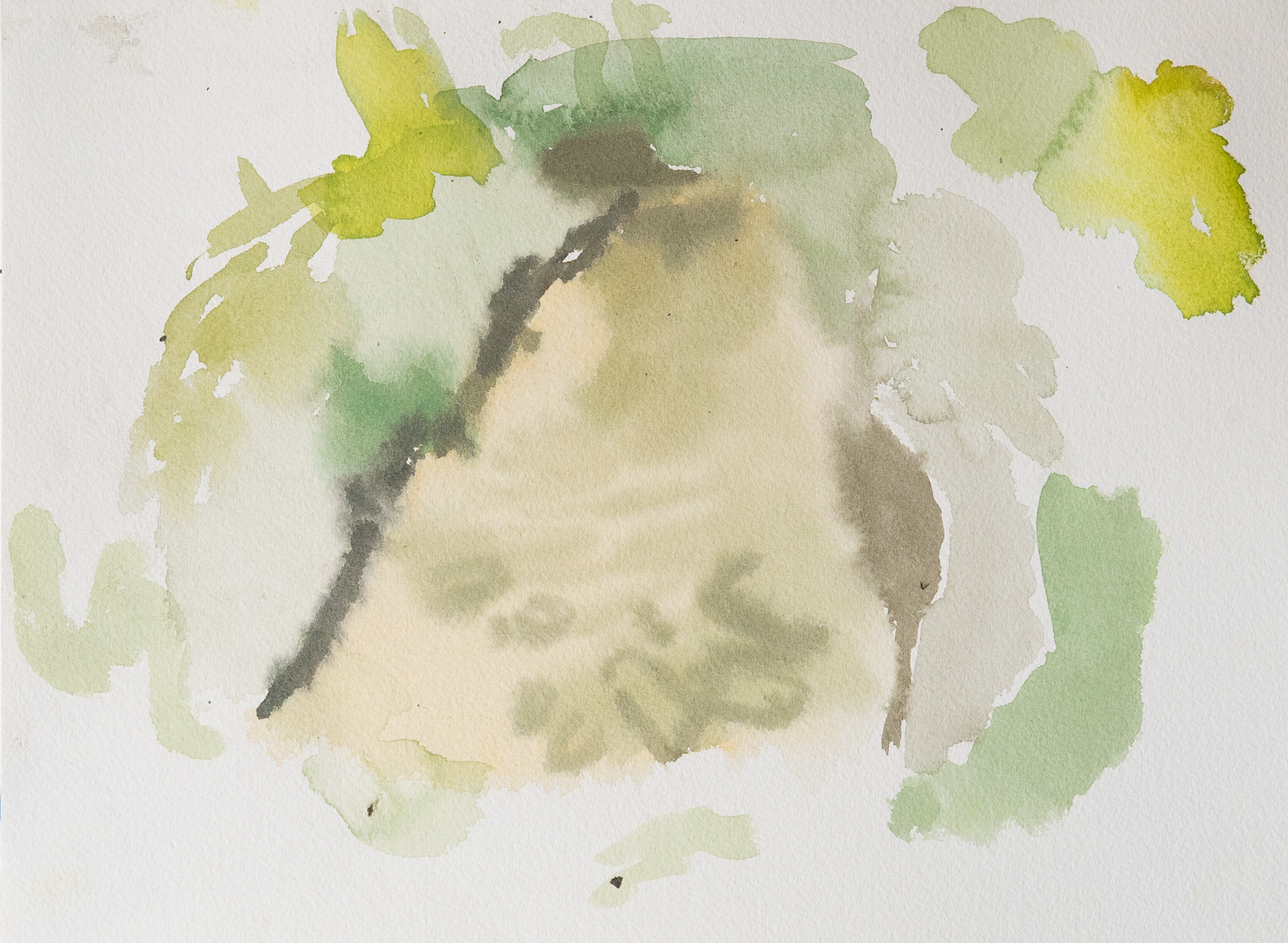 Untitled 24_(Summer 2023)_12by9.PNG