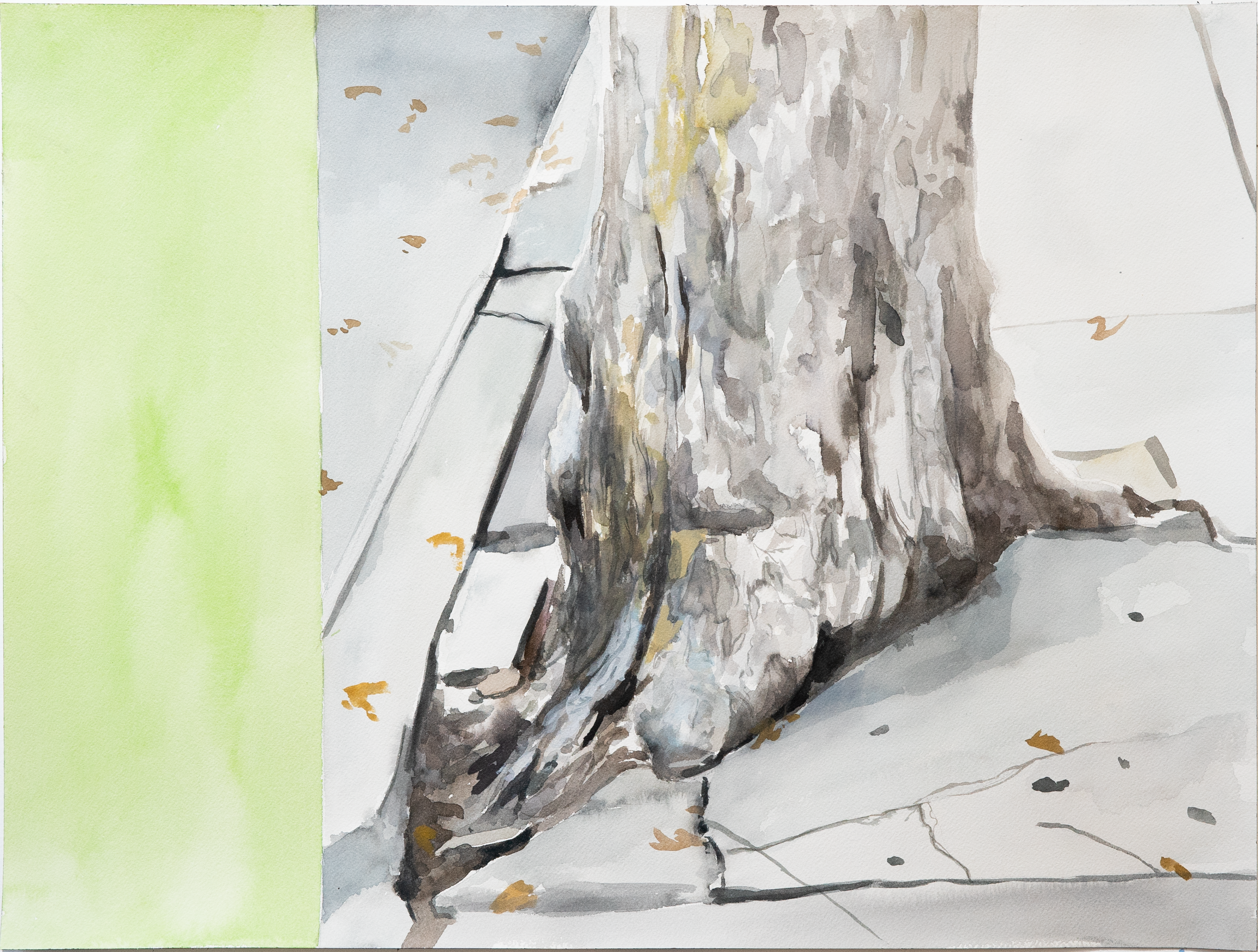 Tree Trunk (Light Green).PNG