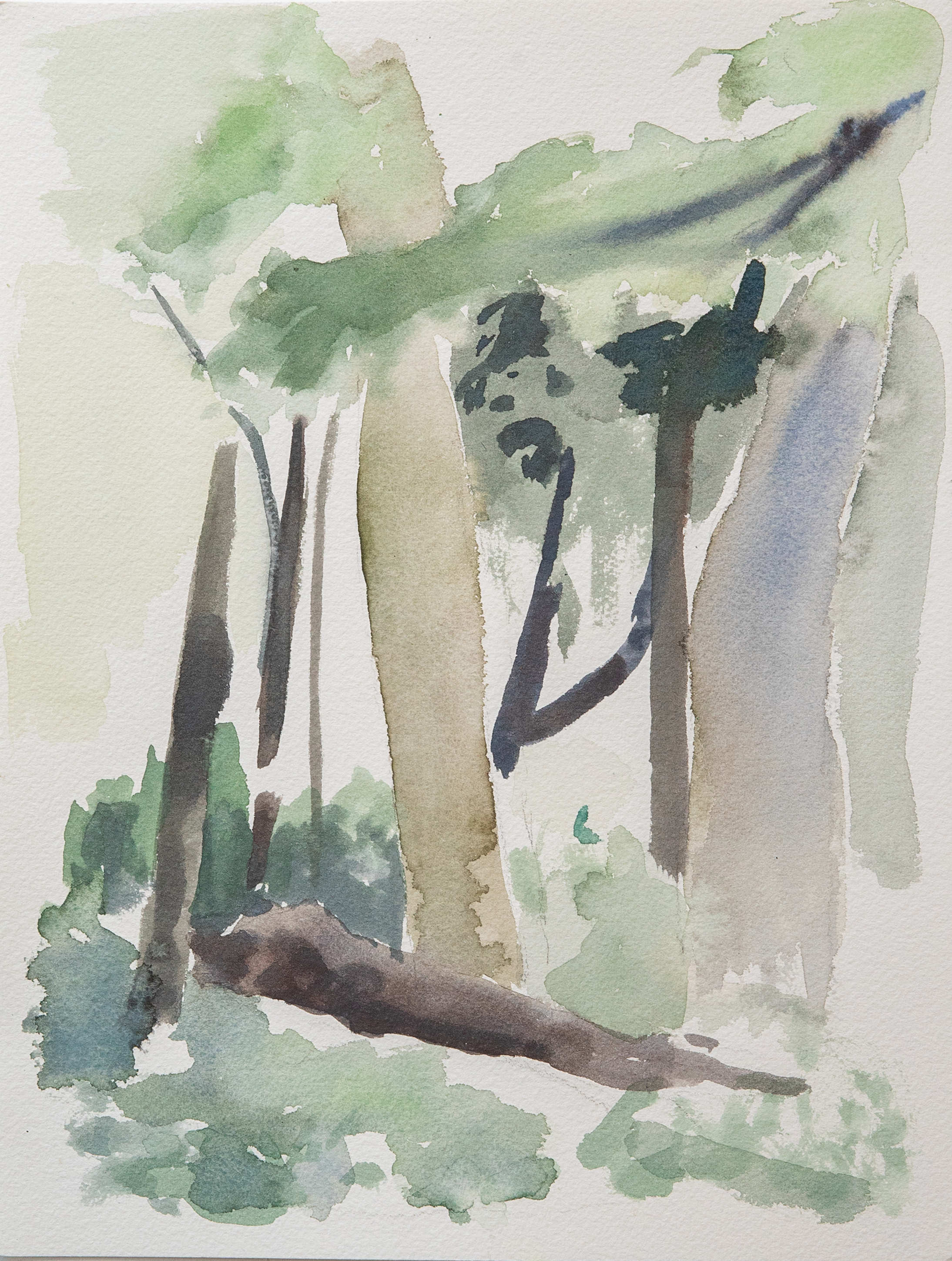 Untitled 36_(Summer 2023)_12by9.PNG